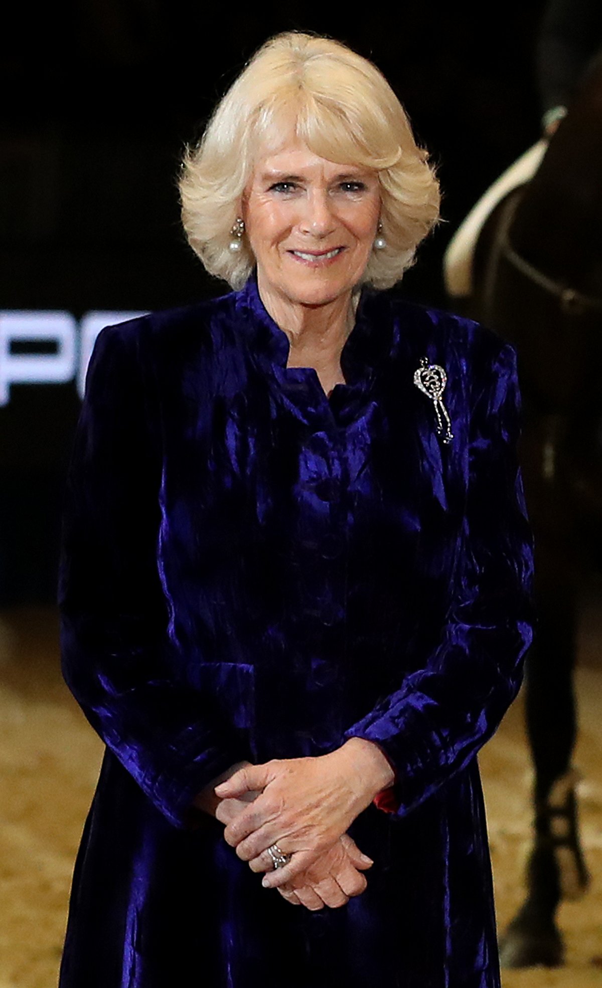 The Duchess of Cornwall attends the Olympia Horse Show on December 14, 2017 (Steve Parsons - WPA Pool/Getty Images)