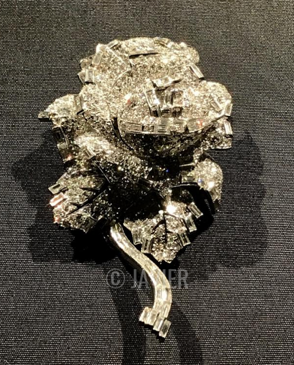 Photo generously shared by Javier. DO NOT REPRODUCE.