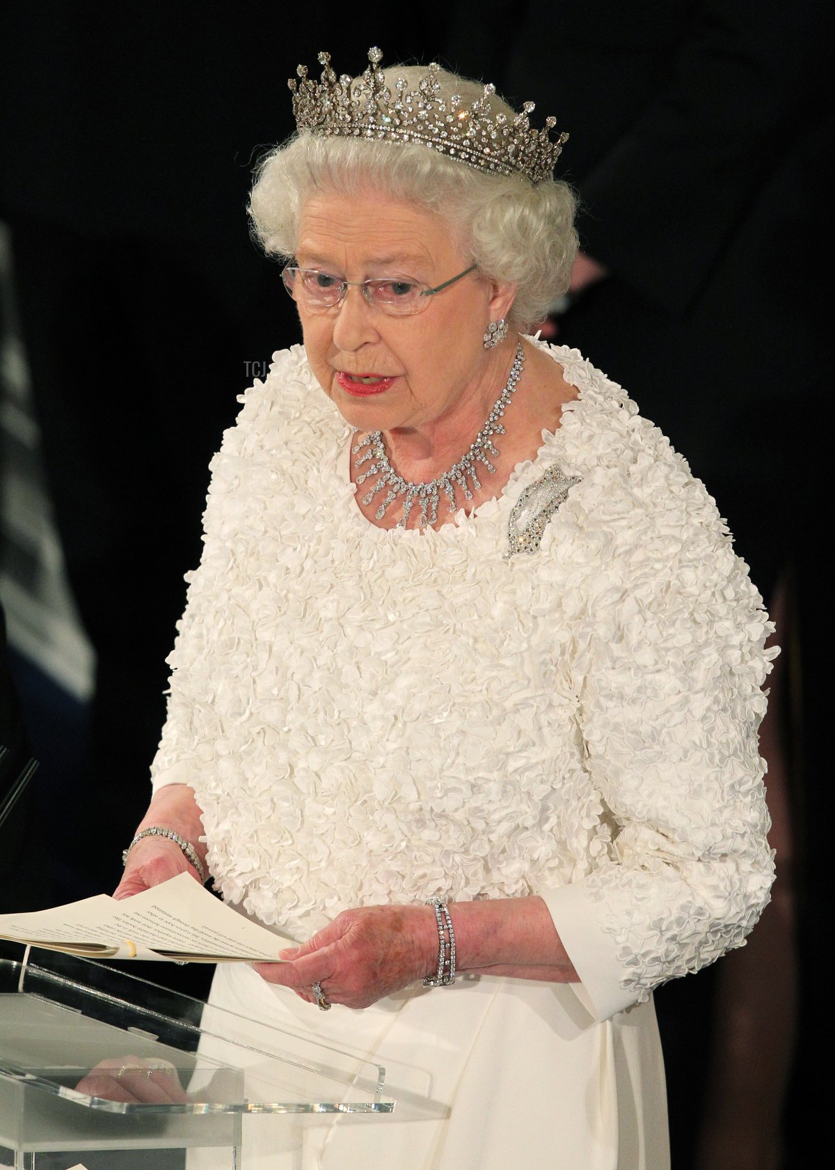 Britain's Queen Elizabeth II speaks to guest at a state dinner in Saint Patrick's Hall at Dublin Castle in Dublin on May 18, 2011