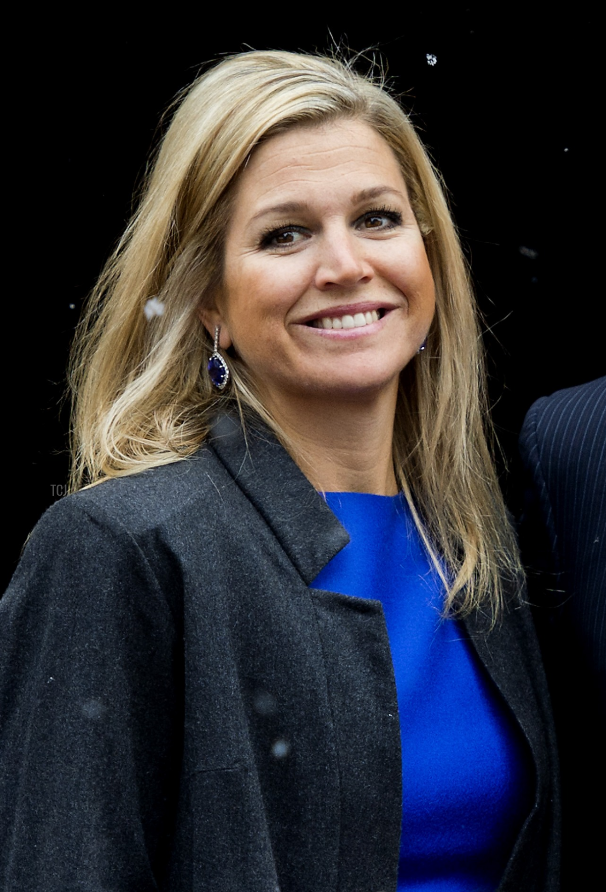 Princess Maxima arrives for the traditional New Year reception at the Royal Palace in Amsterdam on January 15, 2013