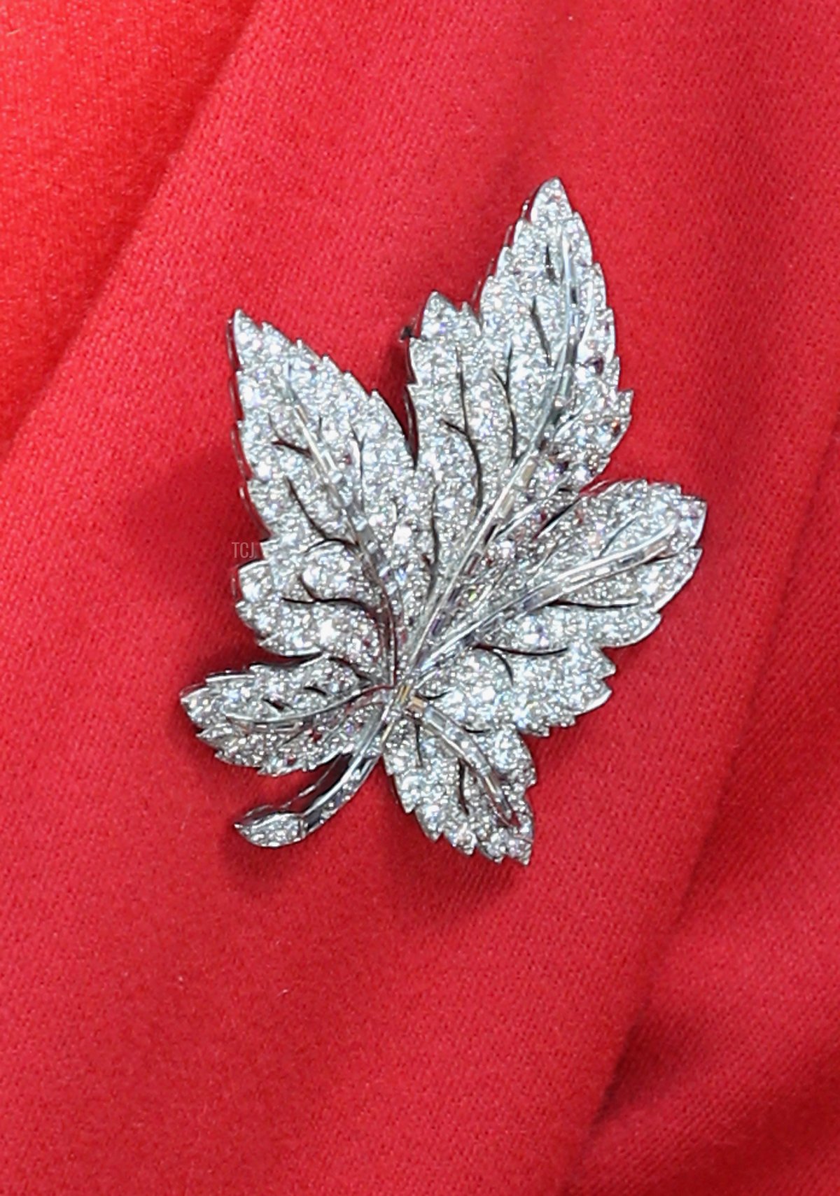 Catherine, Duchess of Cambridge visits a reception at Calgary Zoo on July 8, 2011 in Calgary, Canada