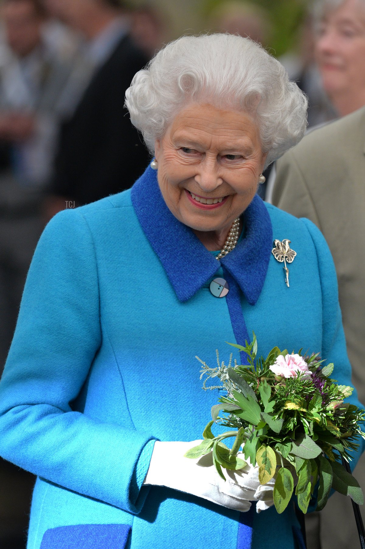 Queen Elizabeth II attends the annual Chelsea Flower show at Royal Hospital Chelsea on May 18, 2015 in London, England