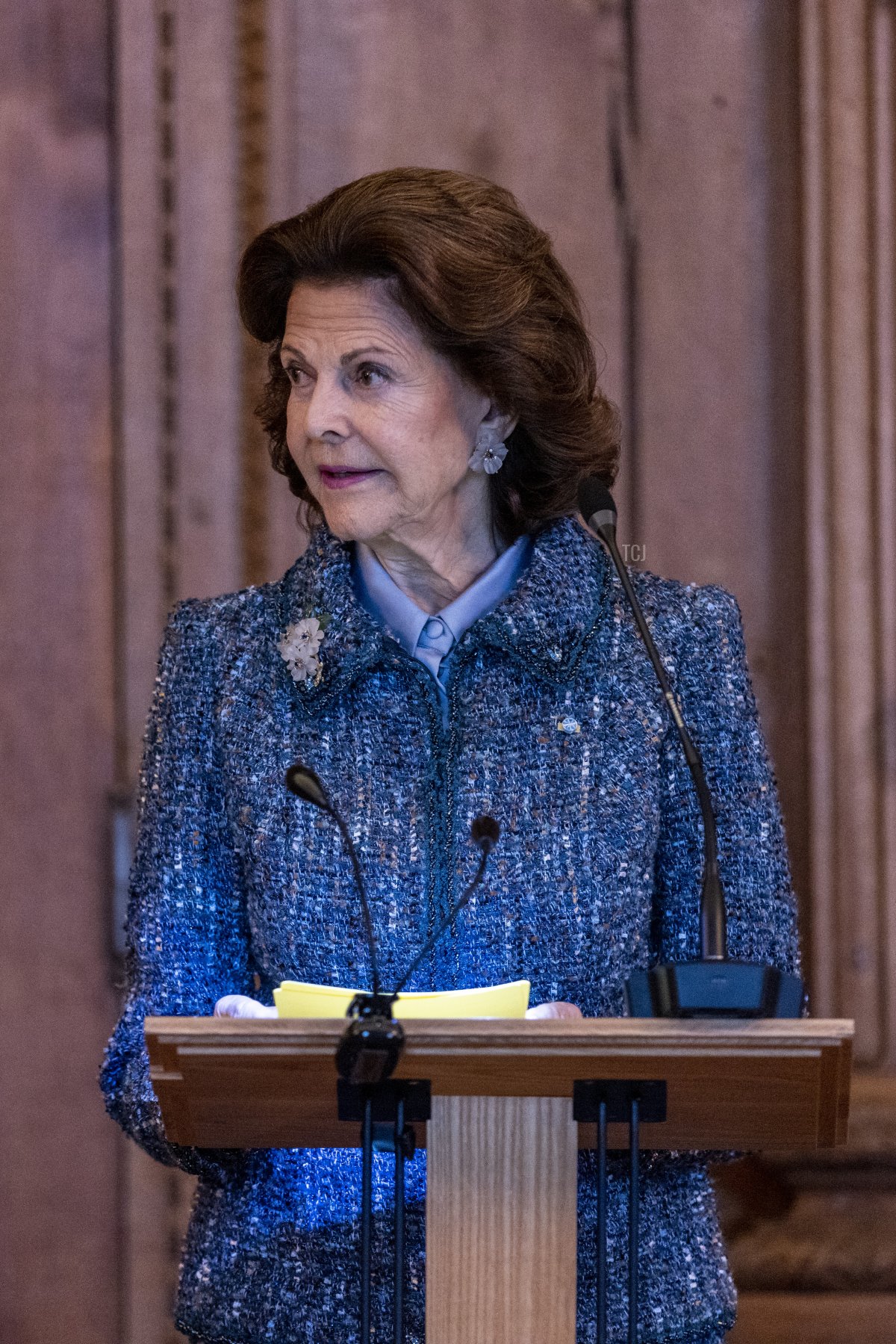 Queen Silvia of Sweden gives a speech at the Bernadotte Library during an official state visit from Queen Letizia of Spain (not pictured) at the Stockholm Palace on November 25, 2021 in Stockholm, Sweden