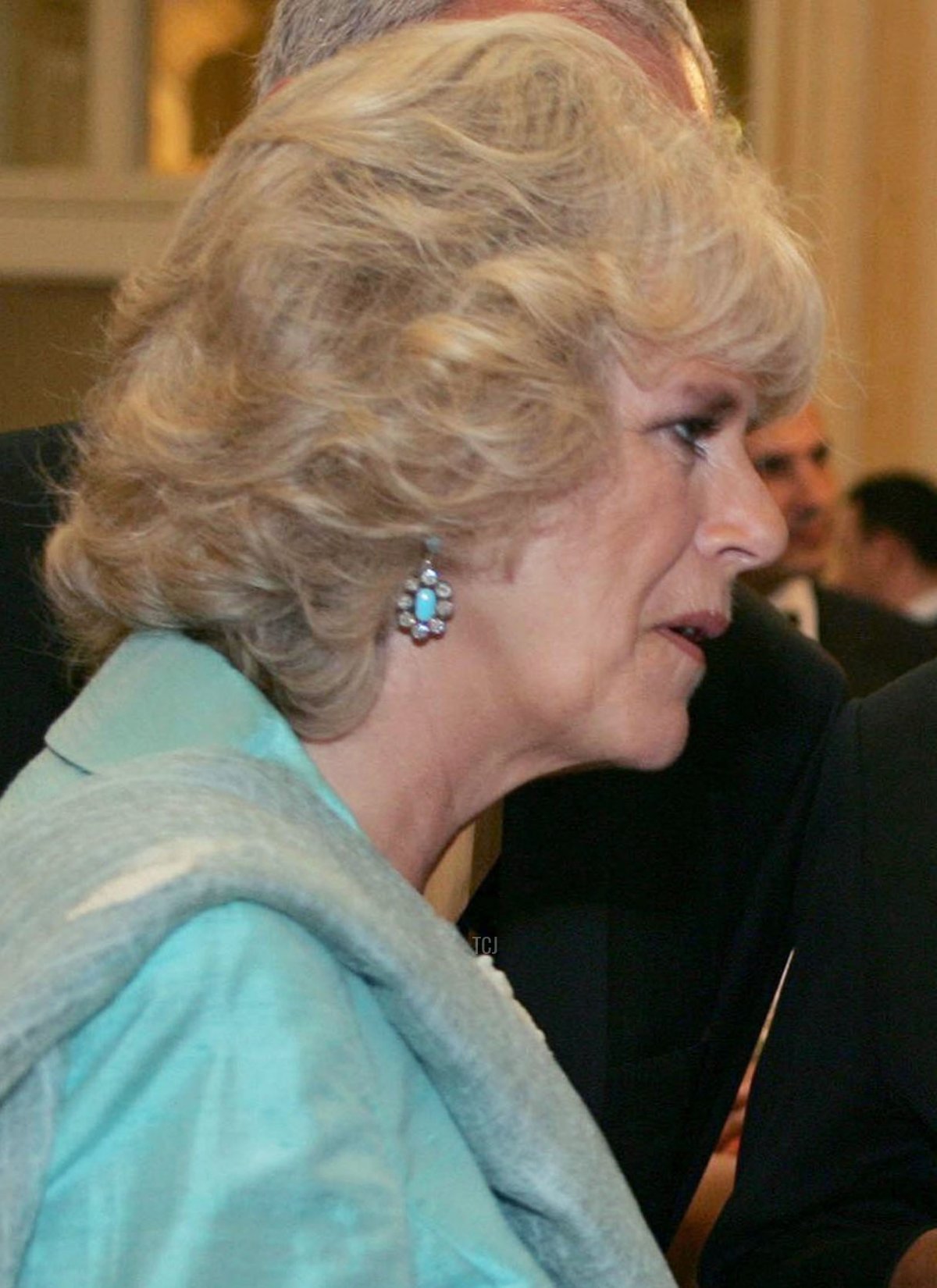 The Duchess of Cornwall chats with Cherie Blair at the Asian Women Of Achievement Awards at the London Hilton on May 26, 2005 in London, England