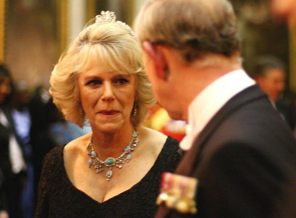 The Duchess of Cornwall and the Prince of Wales (back to camera) at the Ambassador's Reception in Buckingham Palace, Wednesday November 16, 2005