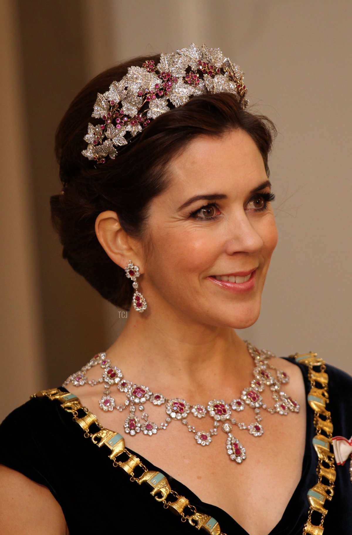 Crown Princess Mary of Denmark attends a Gala Dinner to celebrate Queen Margrethe II of Denmark's 40 years on the throne at Christiansborg Palace Chapel on January 15, 2012 in Copenhagen, Denmark