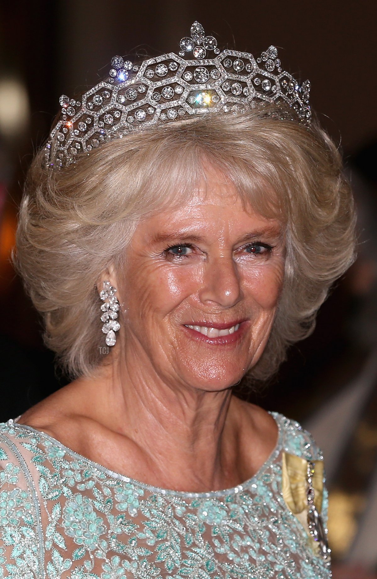 Camilla, Duchess of Cornwall attends the CHOGM Dinner at the Cinnamon Lakeside Hotel during the Commonwealth Heads of Government 2013 Opening Ceremony at the Lotus Theatre on November 15, 2013 in Colombo, Sri Lanka