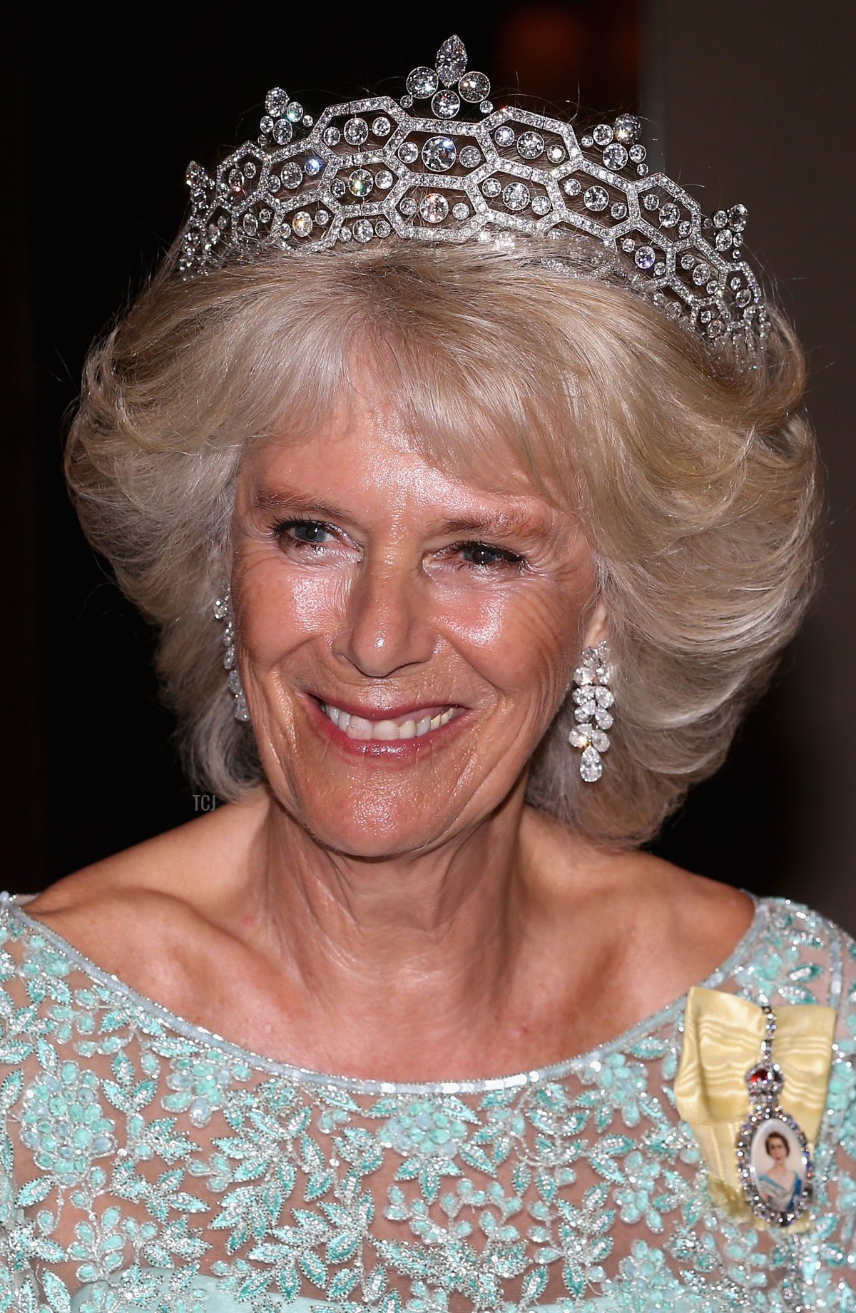 Camilla, Duchess of Cornwall attends the CHOGM Dinner at the Cinnamon Lakeside Hotel during the Commonwealth Heads of Government 2013 Opening Ceremony at the Lotus Theatre on November 15, 2013 in Colombo, Sri Lanka