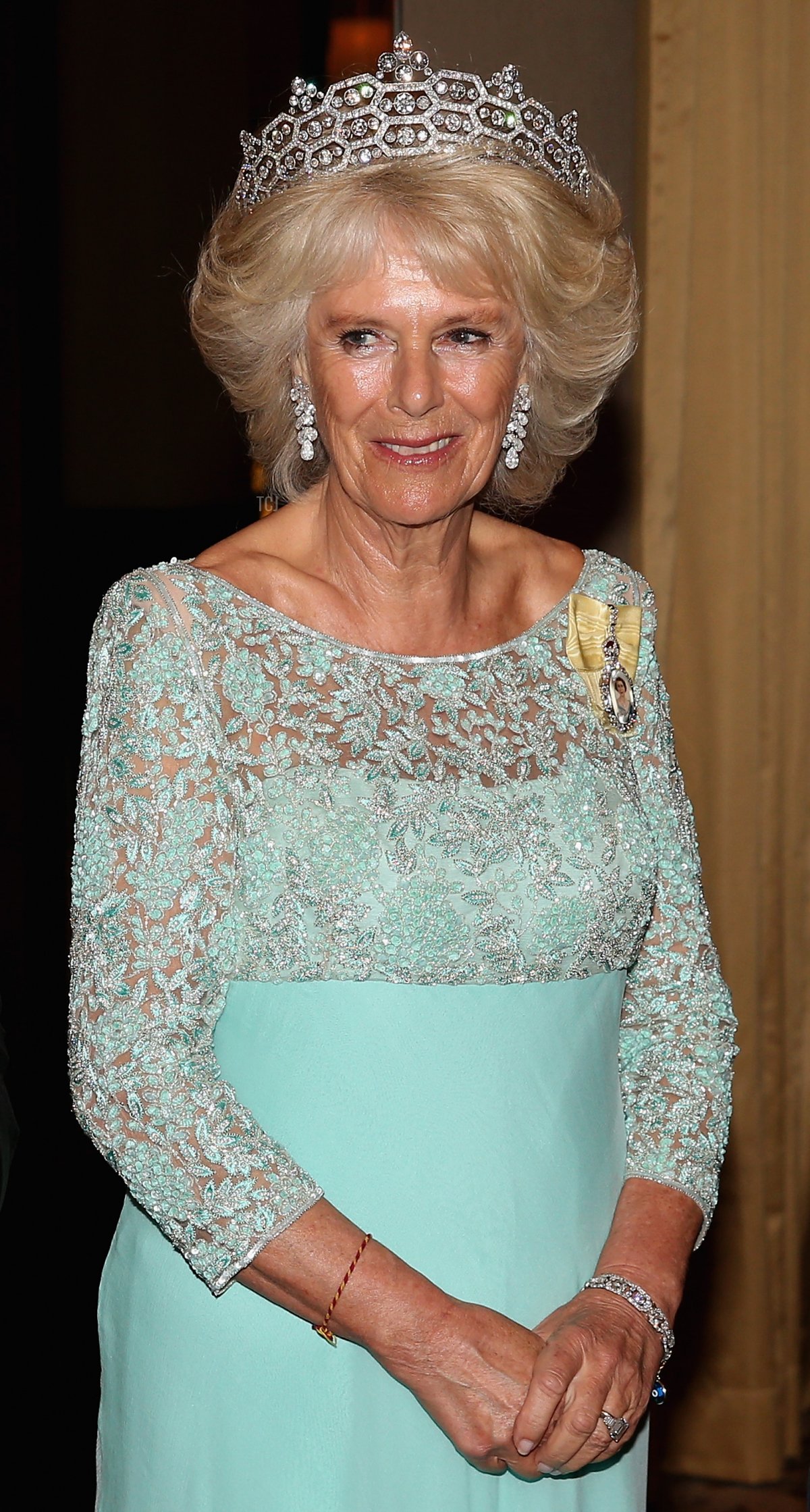 Camilla, Duchess of Cornwall attends the CHOGM Dinner at the Cinnamon Lakeside Hotel during the Commonwealth Heads of Government 2013 Opening Ceremony at the Lotus Theatre on November 15, 2013 in Colombo, Sri Lanka