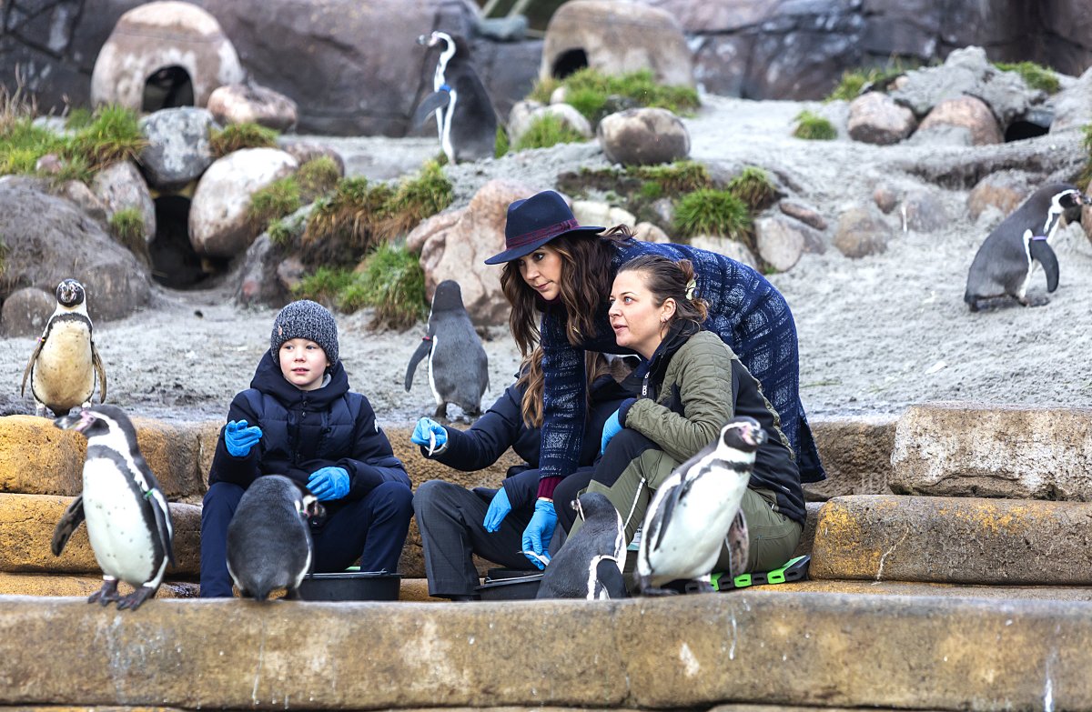 Crown Princess Mary of Denmark, Prince Vincent and Princess Josephine visit Copenhagen Zoo to cut the first sod for what will be Mary's Australian Garden on February 2, 2022 in Frederiksberg, Denmark