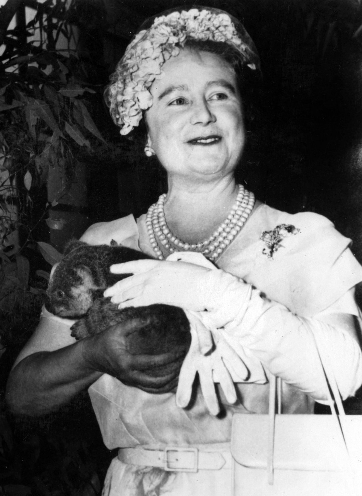 Her Majesty Queen Elizabeth The Queen Mother cuddling a koala, Brisbane, 1958