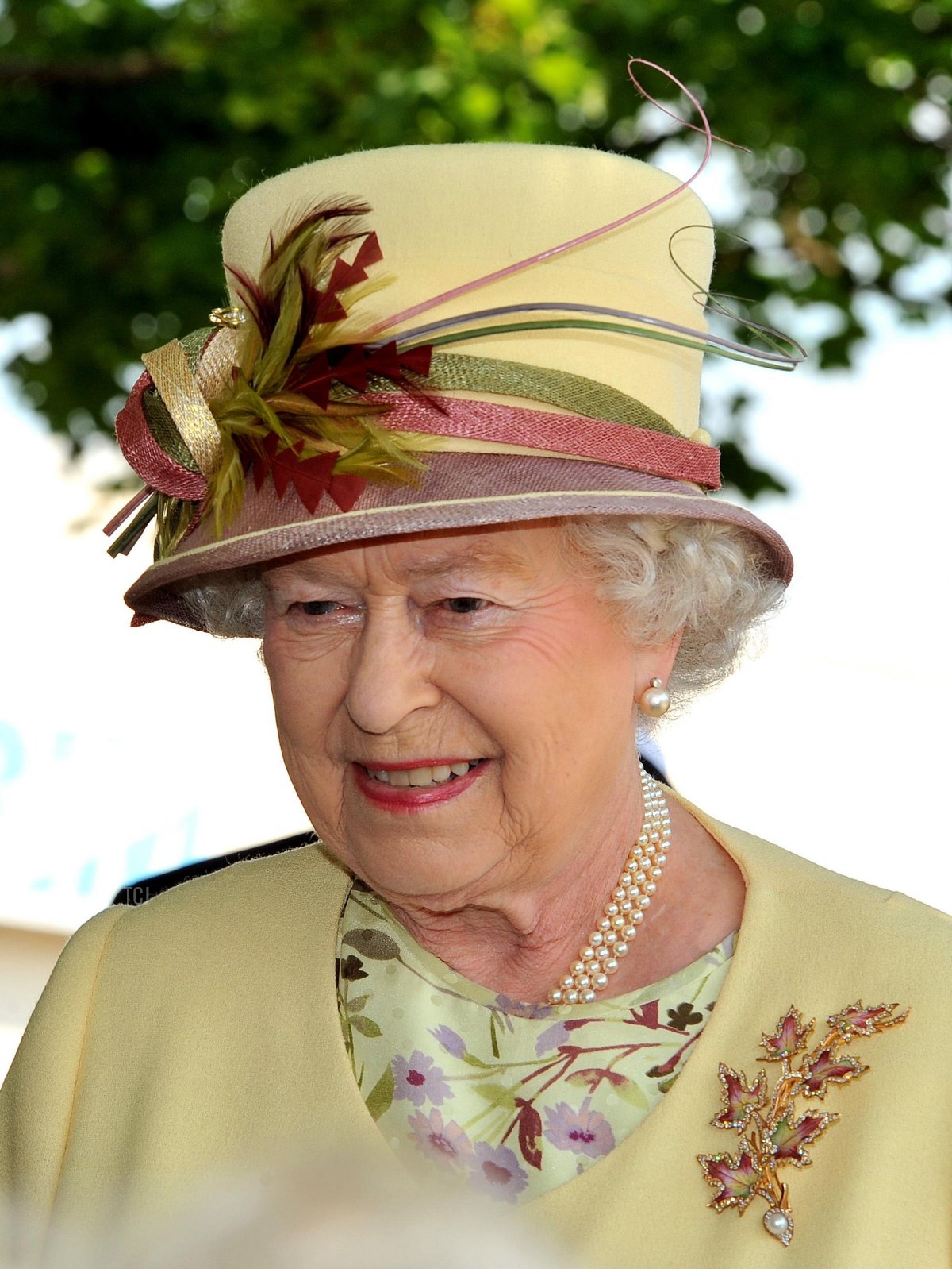Queen Elizabeth II meets veteran soldiers as she leaves the RIM (Research In Motion) factory that produces the Blackberry mobile communications handset, on July 5, 2010 in Waterloo, Canada