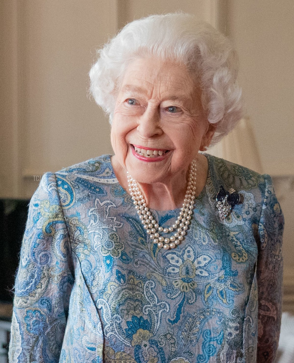 Queen Elizabeth II attends an audience with the President of Switzerland Ignazio Cassis (Not pictured) at Windsor Castle on April 28, 2022 in Windsor, England
