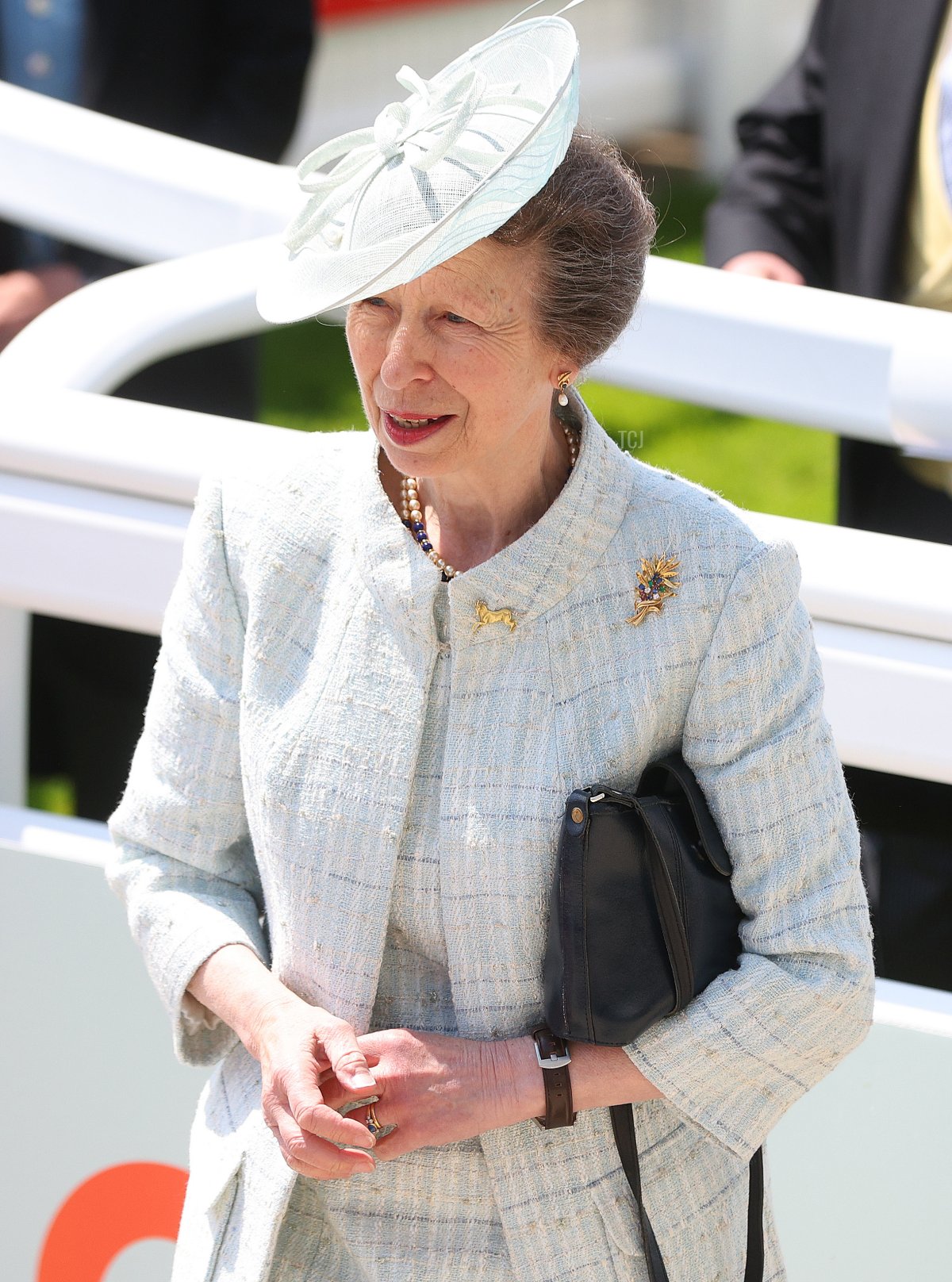 Princess Anne, the Princess Royal, is pictured during Cazoo Derby meeting at Epsom Racecourse on June 04, 2022 in Epsom, England