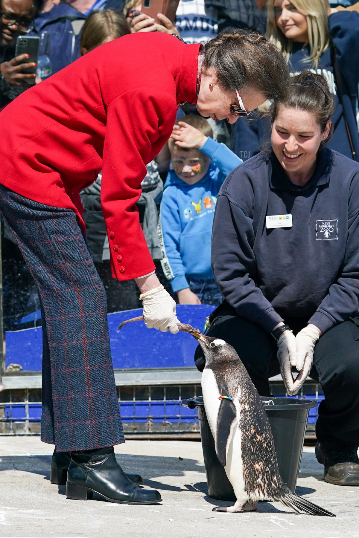 Princess Anne, Princess Royal visits the Penguin enclosure at Edinburgh Zoo as part of the Queen’s Platinum Jubilee celebrations at Edinburgh Zoo on June 03, 2022 in Edinburgh, Scotland