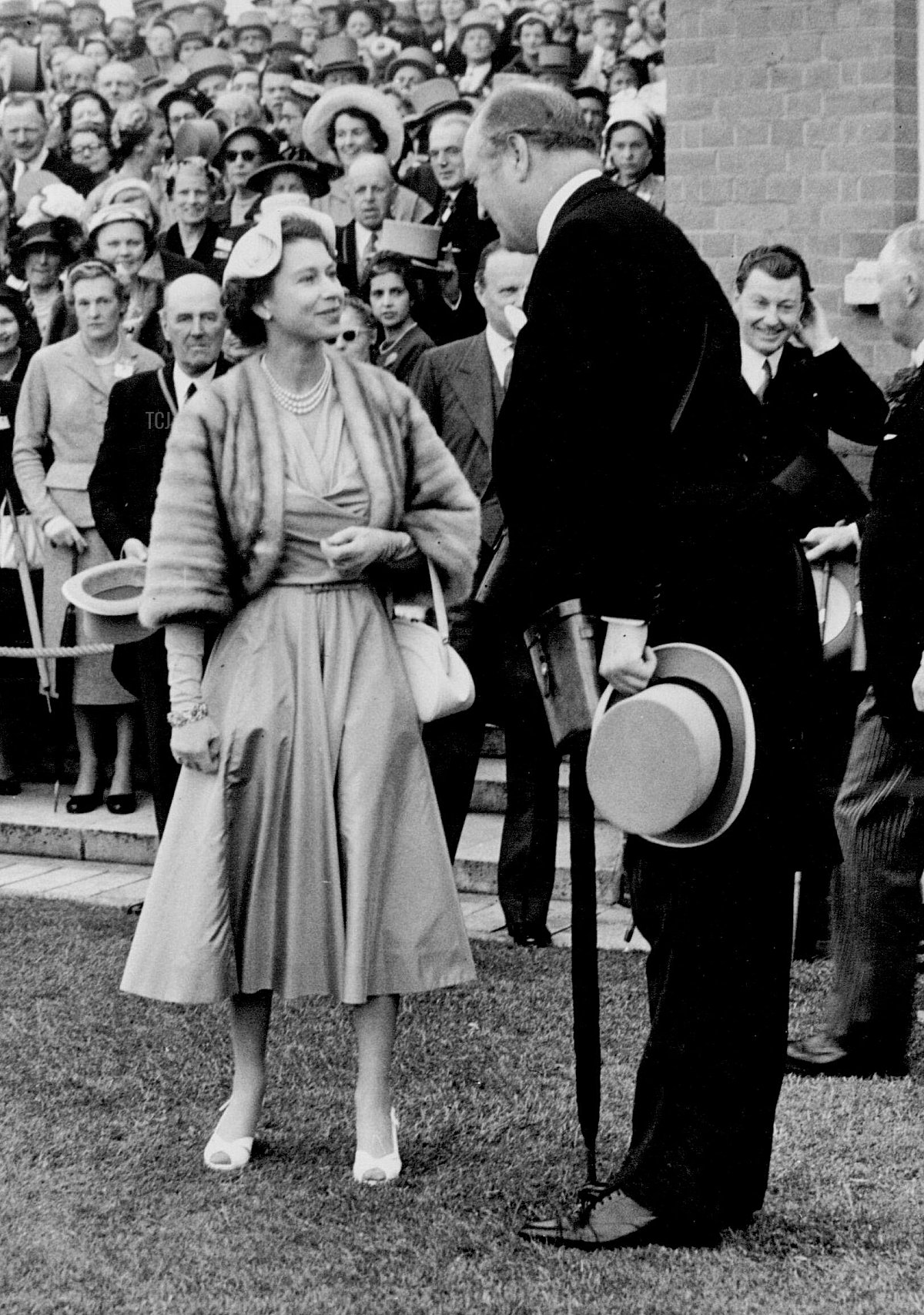 The Queen's Lucky Day at Ascot. Her Majesty The Queen smilingly congratulates her trainer C. Boyd-Rochfort in the winners enclosure after Aureole ridden by E. Smith had won the Hardwicks Stakes at Ascot today, 18 Jun 1954