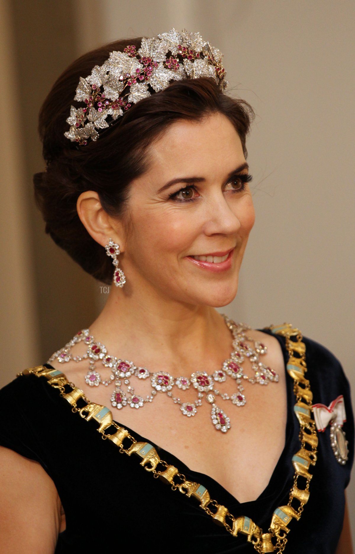 Crown Princess Mary of Denmark attends a Gala Dinner to celebrate Queen Margrethe II of Denmark's 40 years on the throne at Christiansborg Palace Chapel on January 15, 2012 in Copenhagen, Denmark