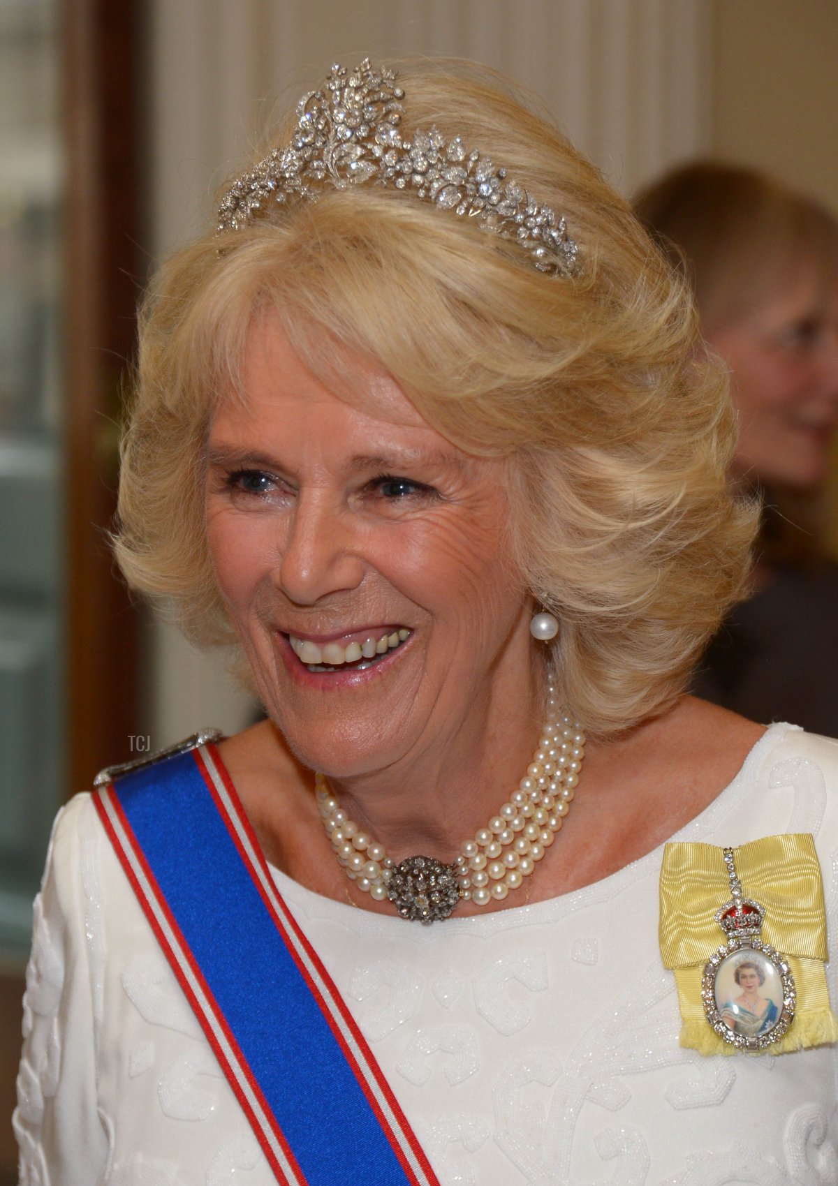 Camilla, Duchess Of Cornwall attends the Royal Academy Annual Dinner to celebrate the Summer Exhibition, opening to the public on 8 June, at Royal Academy of Arts on June 2, 2015 in London, England