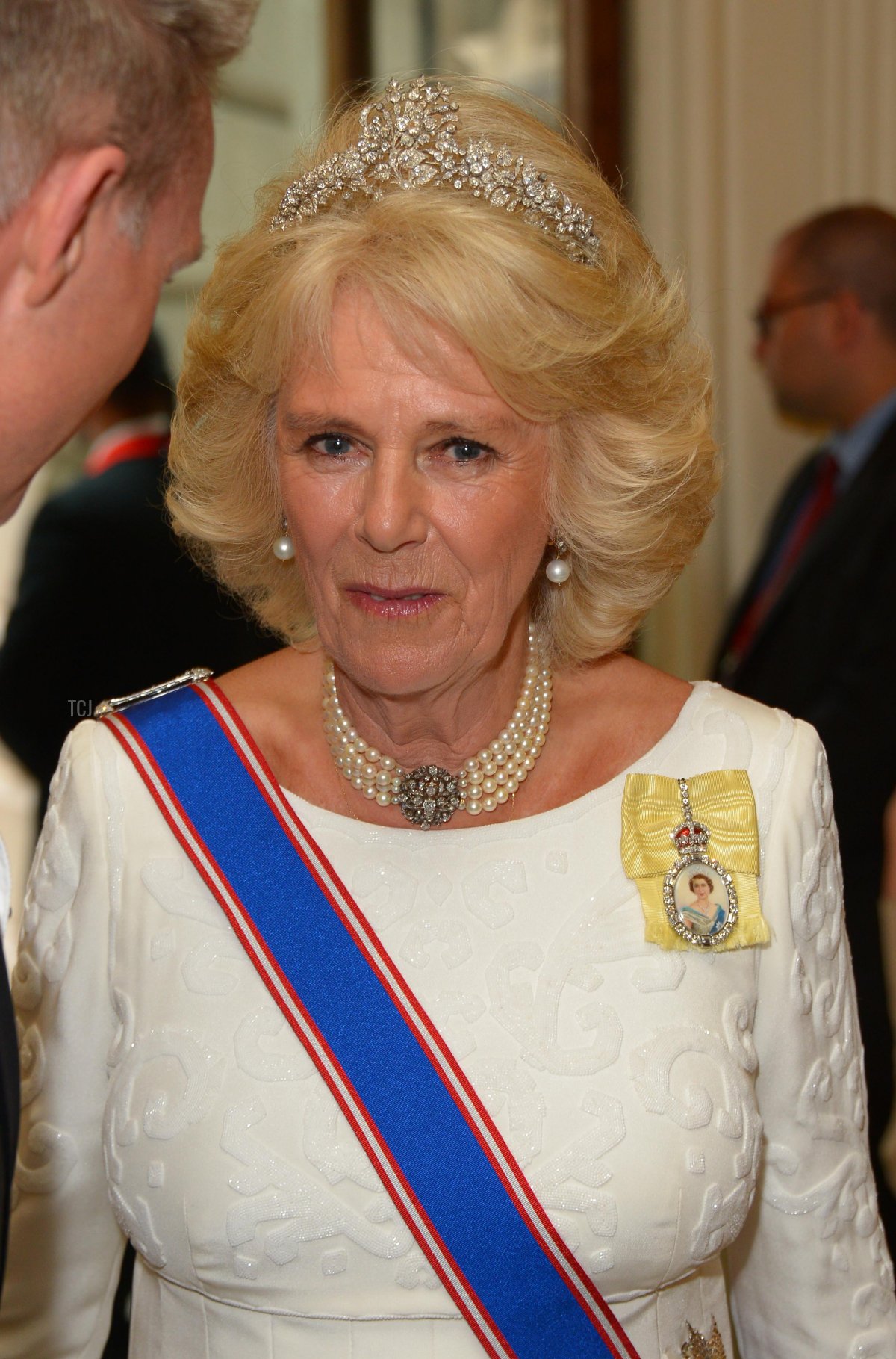 Camilla, Duchess Of Cornwall attends the Royal Academy Annual Dinner to celebrate the Summer Exhibition, opening to the public on 8 June, at Royal Academy of Arts on June 2, 2015 in London, England