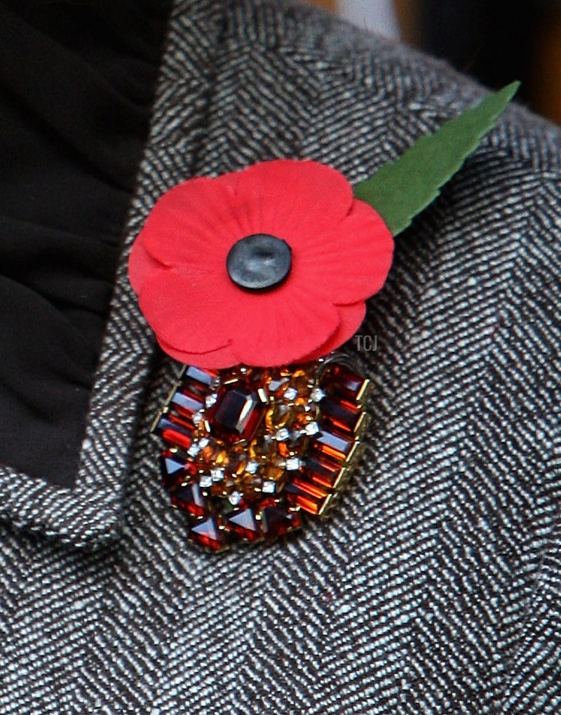 Camilla, Duchess of Cornwall takes part in a charity dog walk in Green Park on November 8, 2008 in London, England