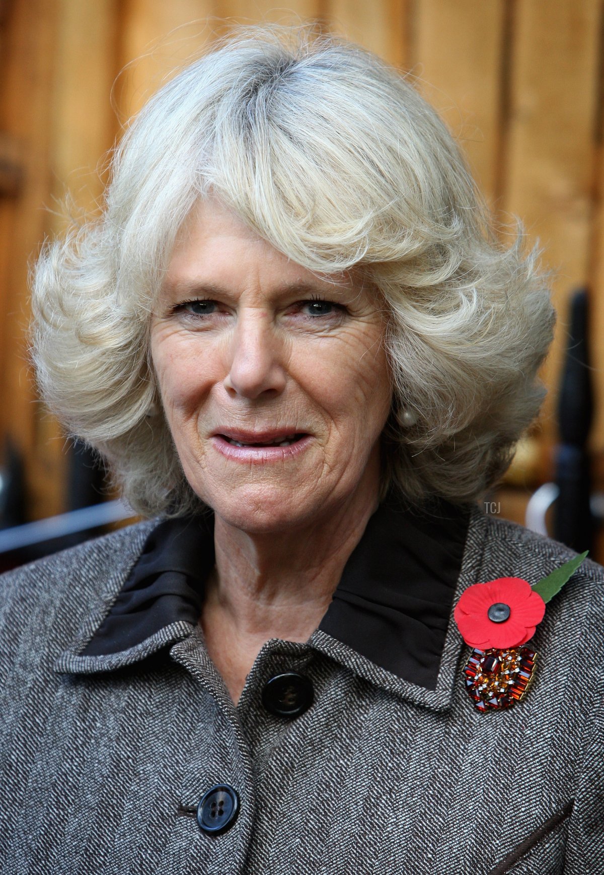 Camilla, Duchess of Cornwall takes part in a charity dog walk in Green Park on November 8, 2008 in London, England