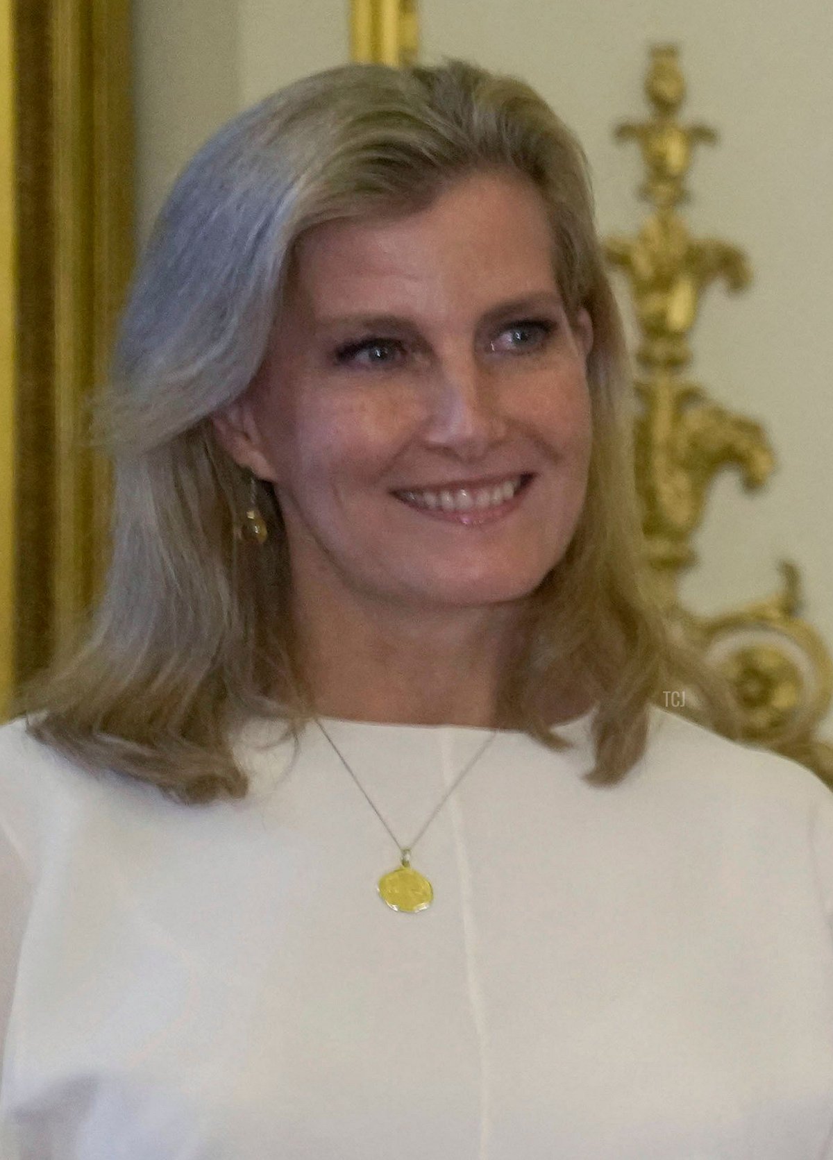 The Countess of Wessex attends a reception to raise awareness of violence against women and girls as part of the UN 16 days of Activism against Gender-Based Violence, in Buckingham Palace on November 29, 2022 in London, England