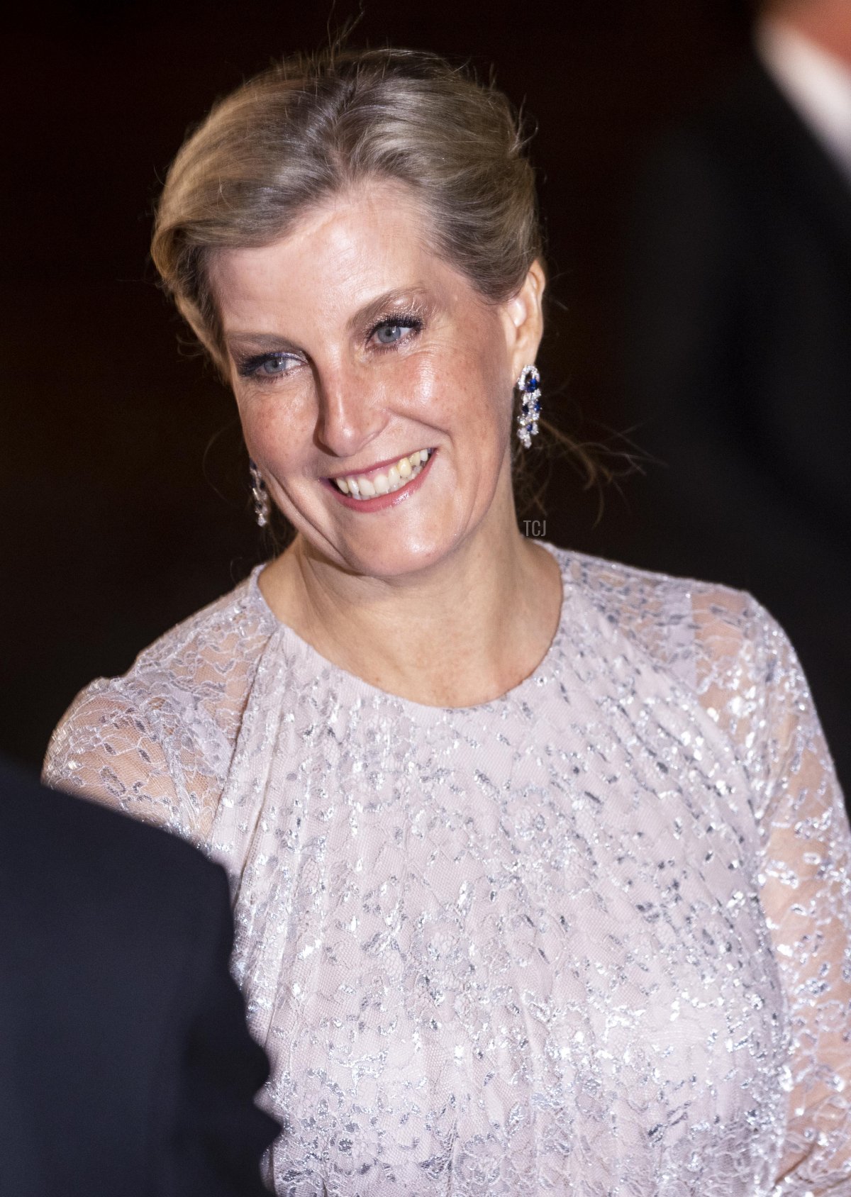 Sophie, Countess of Wessex attends the Royal Variety Performance at the Royal Albert Hall on December 1, 2022 in London, England