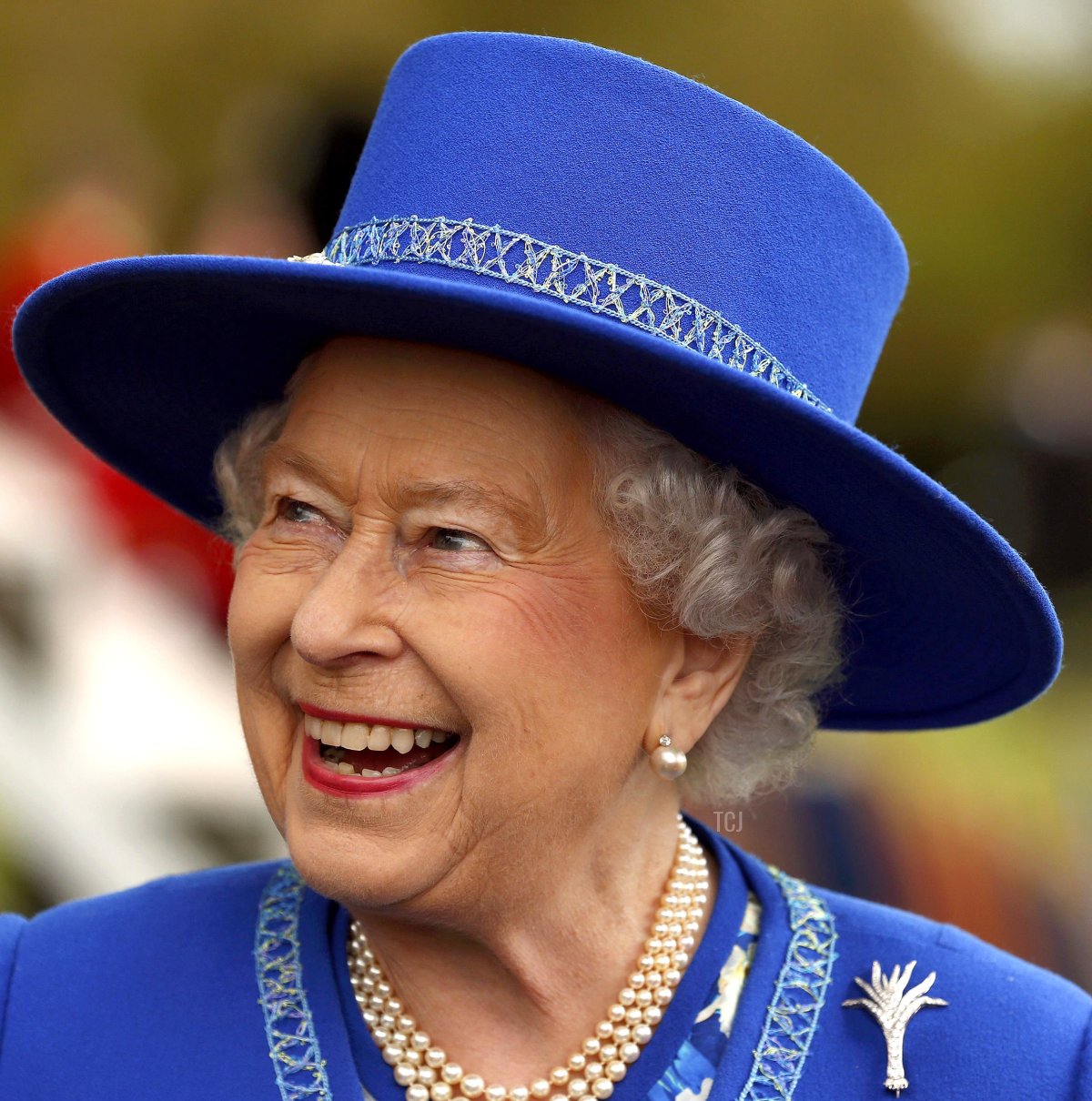 Queen Elizabeth II reacts after presenting new colours to the 1st Battalion Welsh Guards at Windsor Castle on April 30, 2015 (Cathal McNaughton-Pool/Getty Images)