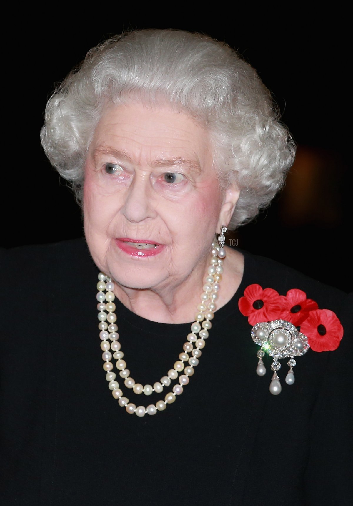 Britain's Queen Elizabeth II arrives to attend the annual Royal Festival of Remembrance at the Royal Albert Hall in central London on November 7, 2015 (CHRIS JACKSON/POOL/AFP via Getty Images)