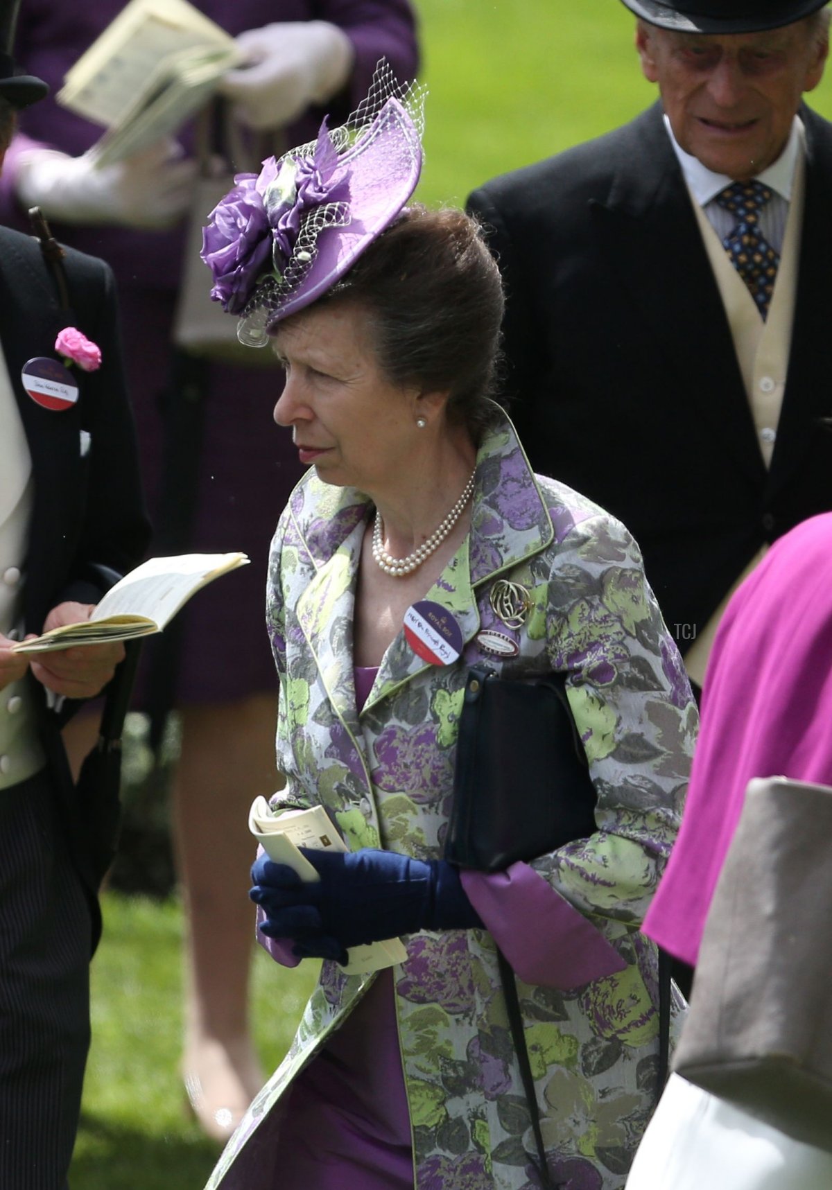 The Princess Royal attends the second day of Royal Ascot, June 15, 2016 (JUSTIN TALLIS/AFP via Getty Images)