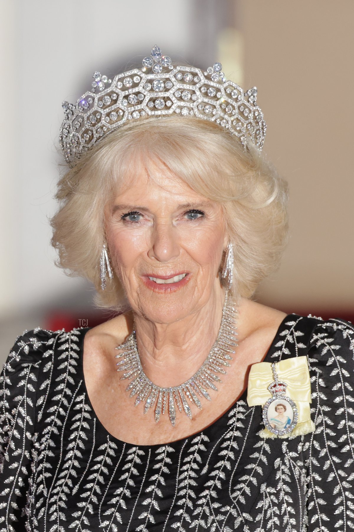 Queen Camilla arrives for a state banquet at the Schloss Bellevue in Berlin, on March 29, 2023 (Chris Jackson/Getty Images)