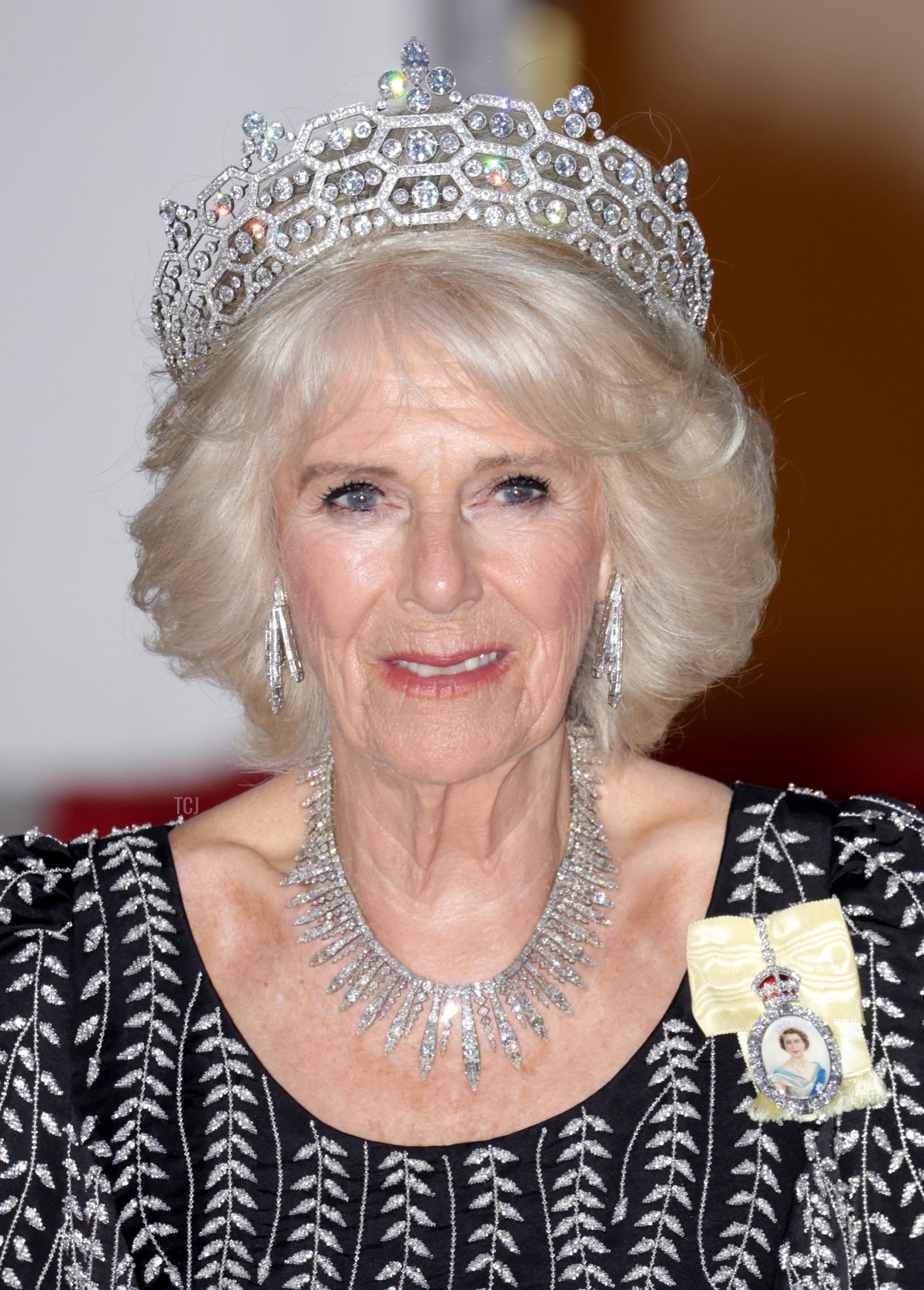 Queen Camilla arrives for a state banquet at the Schloss Bellevue in Berlin, on March 29, 2023 (Chris Jackson/Getty Images)
