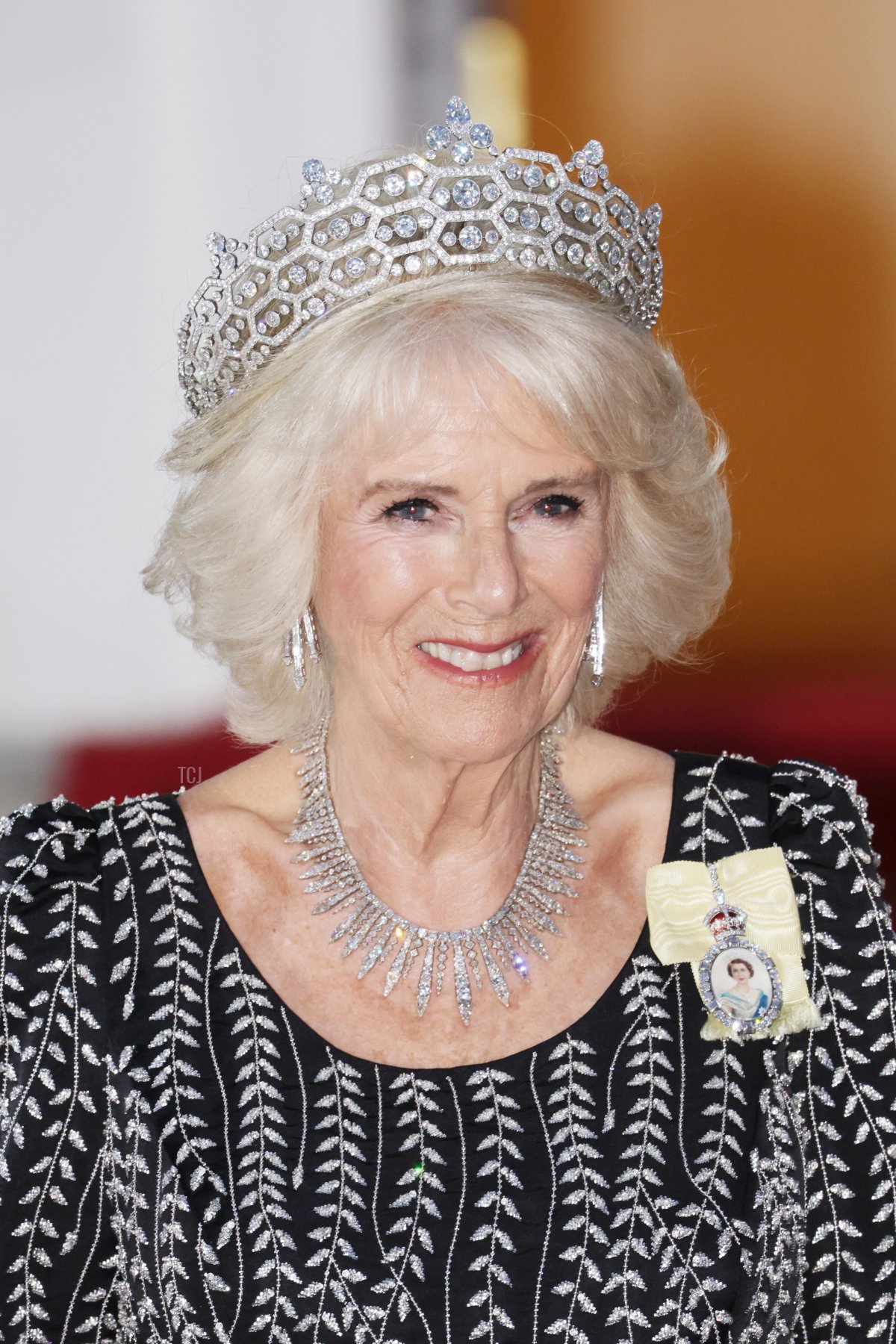 Queen Camilla arrives for a state banquet at the Schloss Bellevue in Berlin, on March 29, 2023 (Chris Jackson/Getty Images)