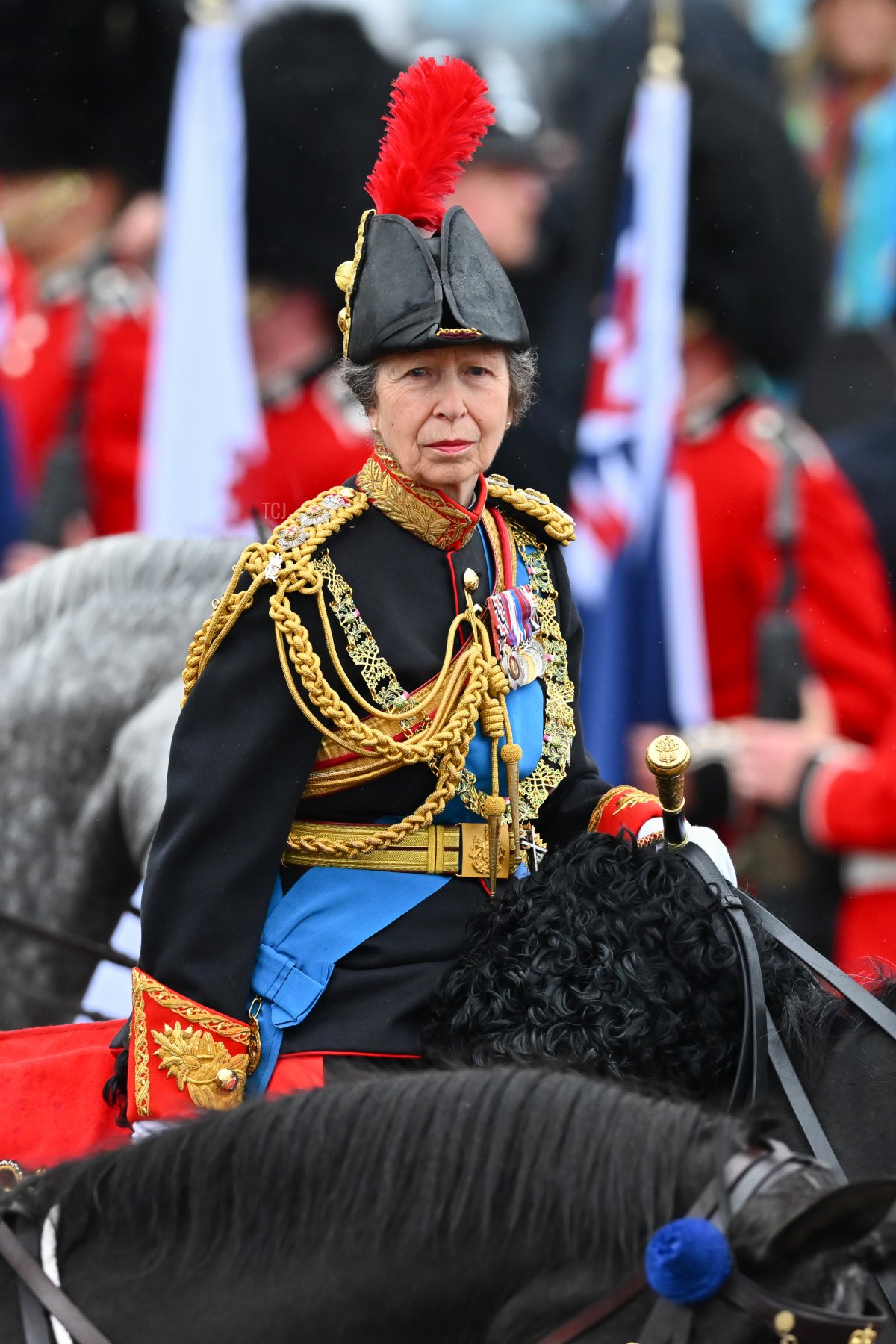 The Princess Royal, as Gold Stick, rides in the carriage procession following the coronation of King Charles III and Queen Camilla in London, May 6, 2023 (Dan Mullan/Getty Images)