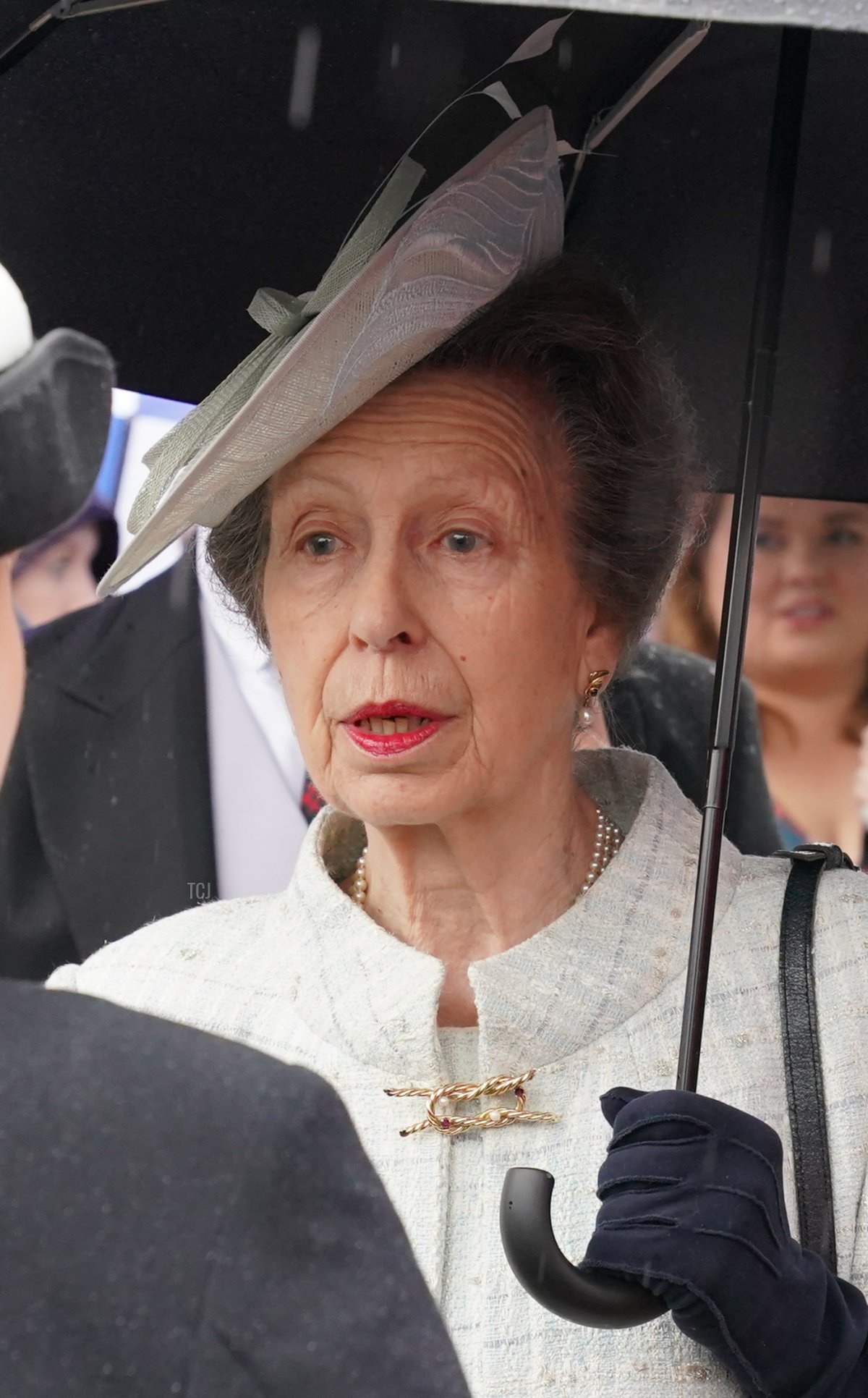 The Princess Royal attends a garden party at the Palace of Holyroodhouse in Edinburgh on July 4, 2023 (Jonathan Brady - WPA Pool/Getty Images)