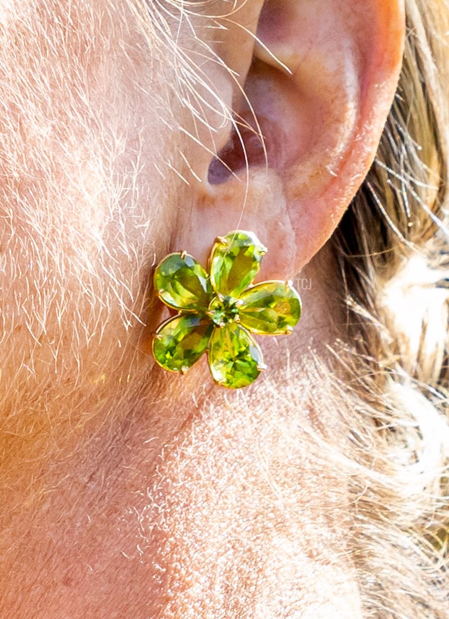 Queen Maxima of the Netherlands is pictured in Barneveld during a regional visit to the Gelderse Valley on August 31, 2023 (Patrick van Katwijk/Getty Images)