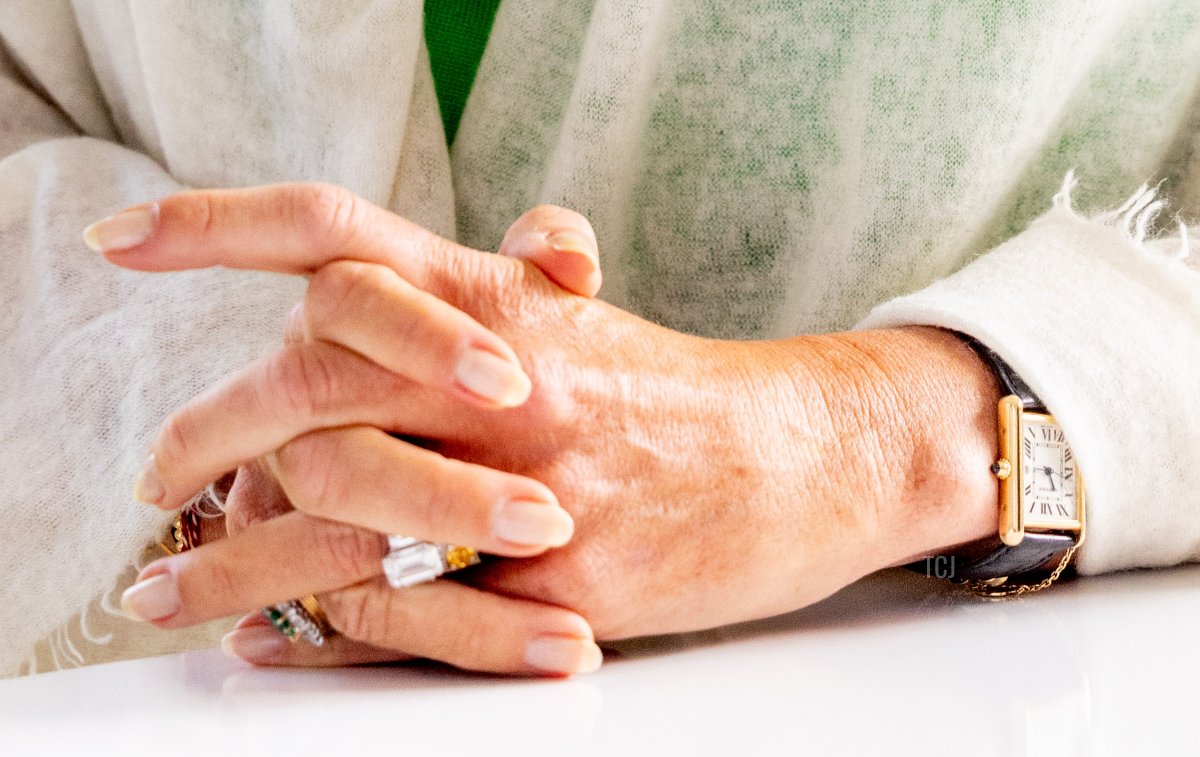 Queen Maxima of the Netherlands is pictured in Barneveld during a regional visit to the Gelderse Valley on August 31, 2023 (Patrick van Katwijk/Getty Images)