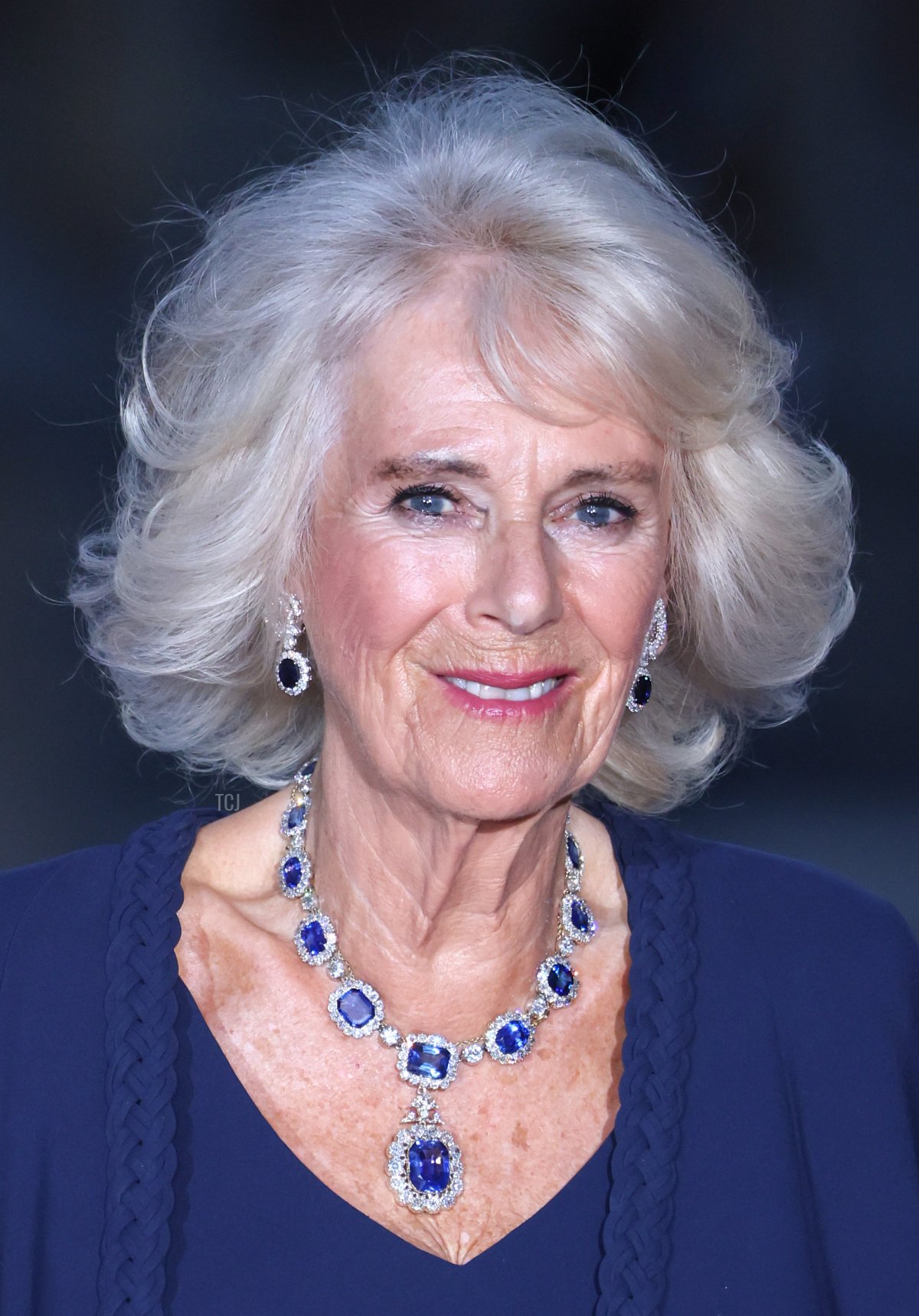 Queen Camilla arrives for a state dinner at the Palace of Versailles during the British state visit to France, September 20, 2023 (Chris Jackson/Getty Images)