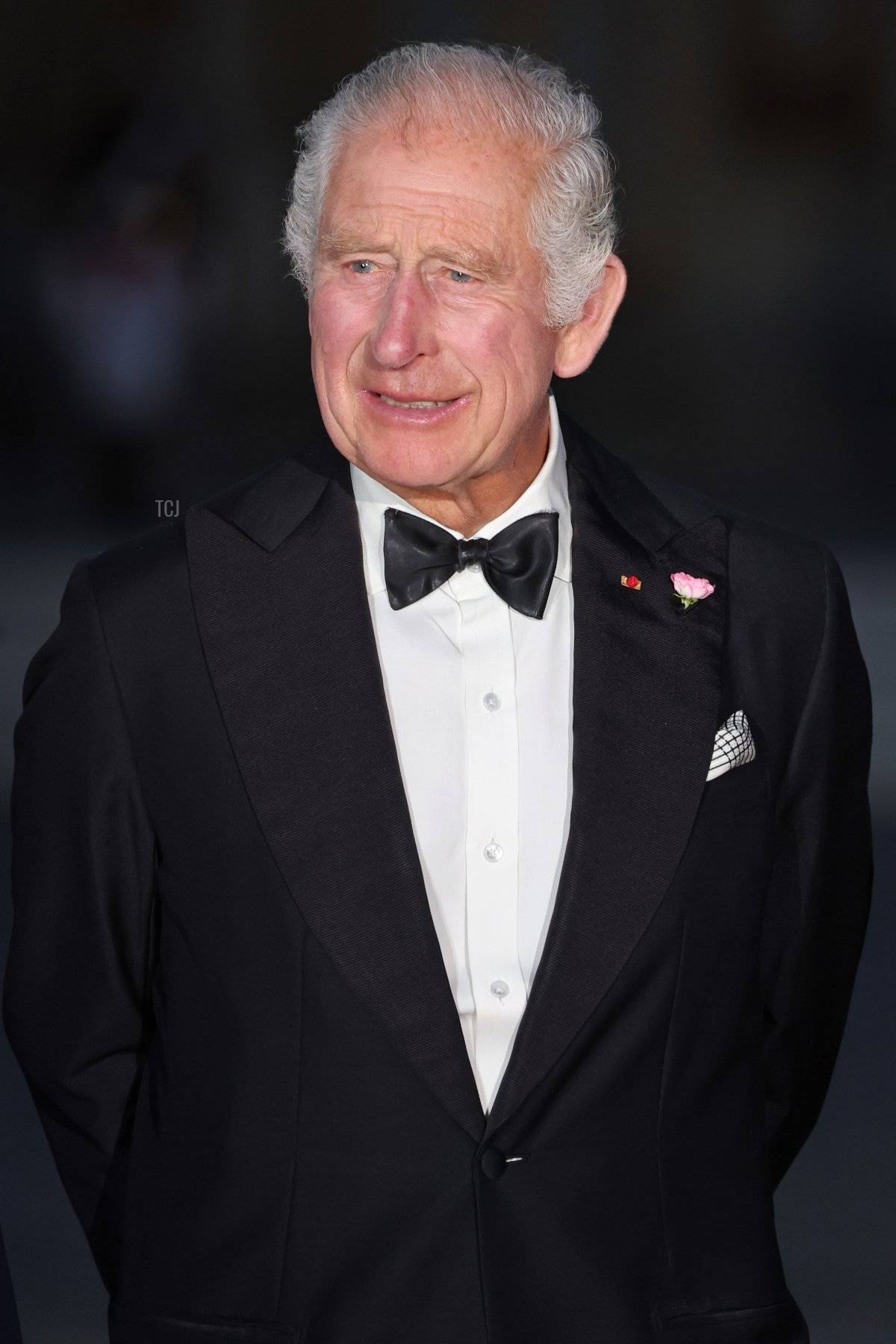 King Charles III arrives for a state dinner at the Palace of Versailles during the British state visit to France, September 20, 2023 (Chris Jackson/Getty Images)