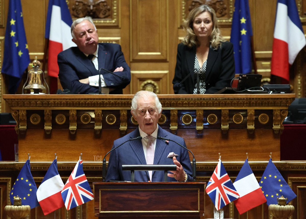 King Charles III of the United Kingdom addresses France's National Assembly during the British state visit to France, September 21, 2023 (EMMANUEL DUNAND/POOL/AFP via Getty Images)