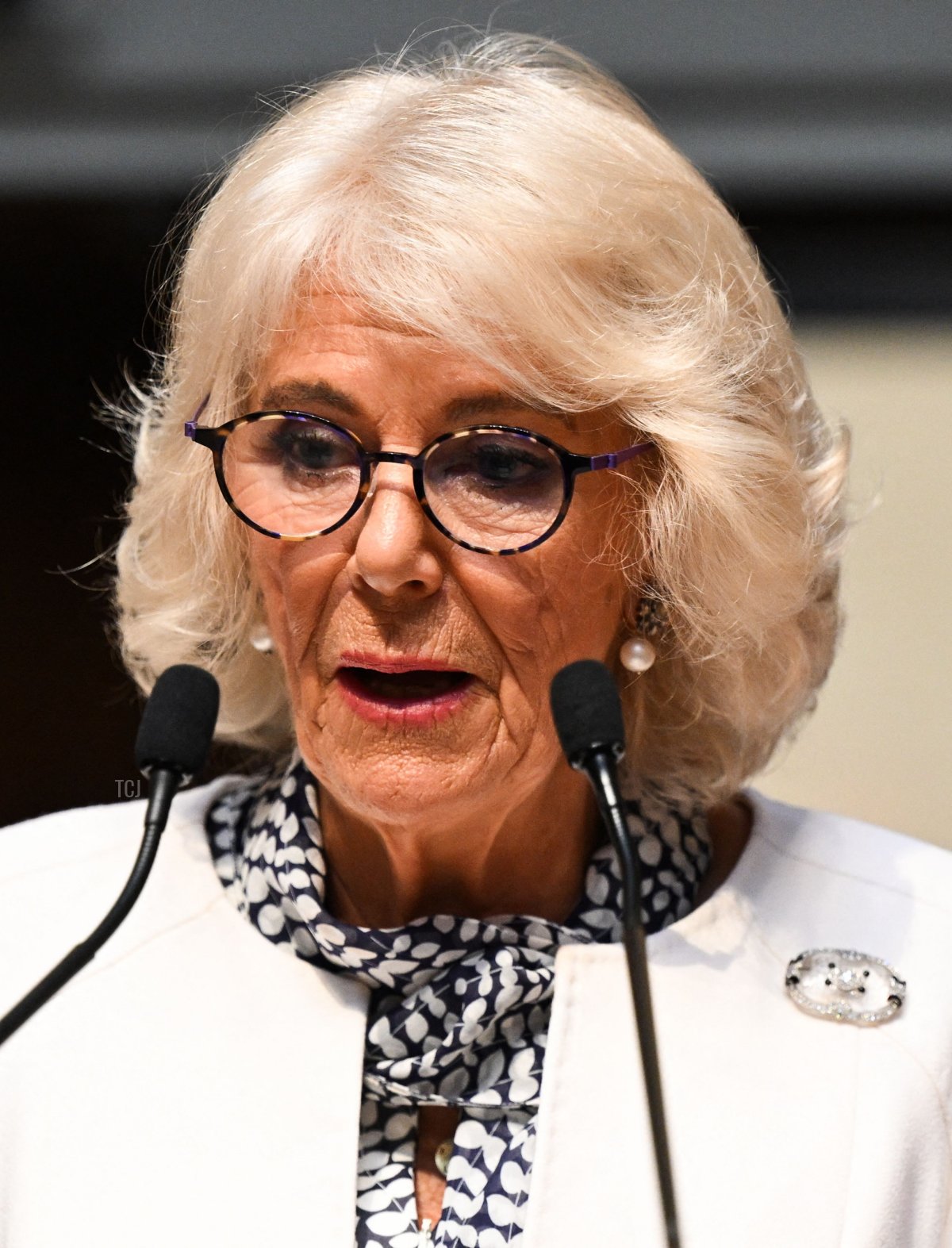 Queen Camilla of the United Kingdom delivers remarks while visiting the French National Library in Paris during the British state visit to France, September 21, 2023 (BERTRAND GUAY/POOL/AFP via Getty Images)
