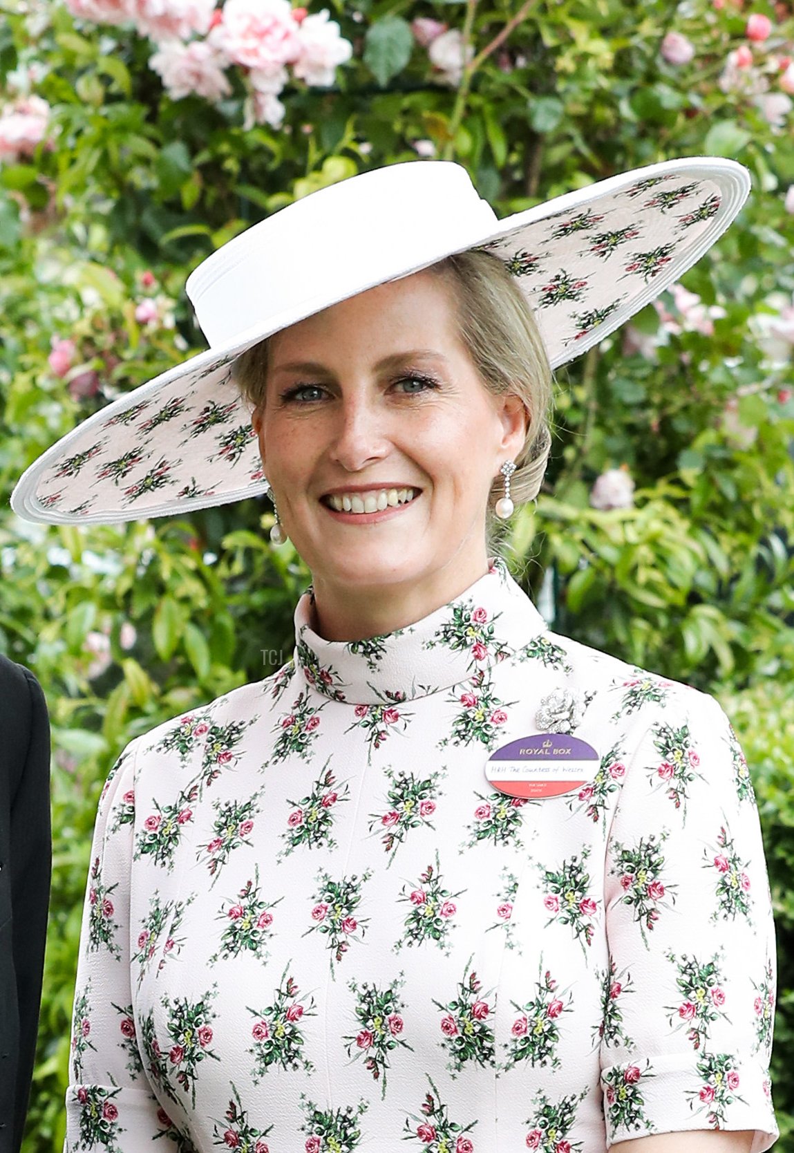 The Earl and Countess of Wessex pose for an official portrait to mark their forthcoming twentieth wedding anniversary in Ascot, June 18, 2019 (Chris Jackson/Getty Images)