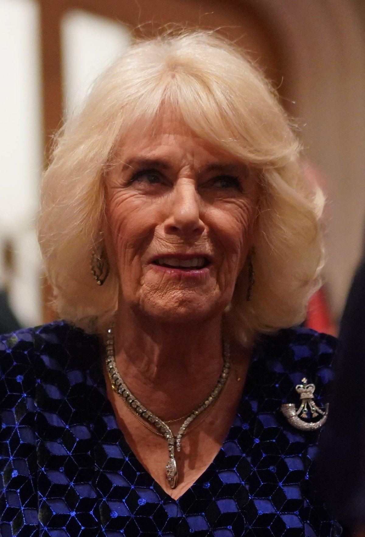 Queen Camilla attends the Rifles Awards Dinner at the Guildhall in London on November 30, 2023 (Victoria Jones/PA Images/Alamy)