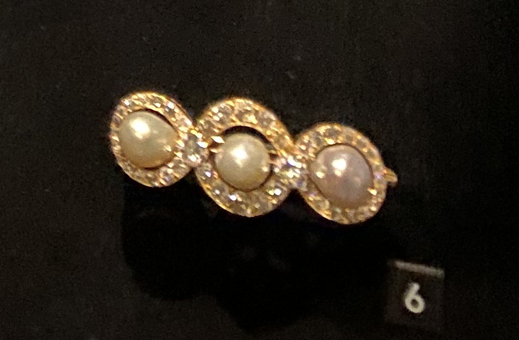 The Connaught Pearl Bar Brooch is pictured at Amalienborg, 2022 (Photo generously shared by reader Kim)