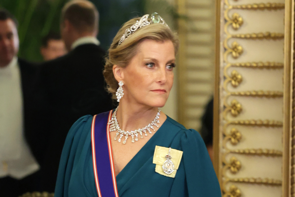 The Countess of Wessex and Forfar attends a state banquet at Buckingham Palace in London in honor of the visiting President of South Africa on November 22, 2022 (Chris Jackson/Getty Images)