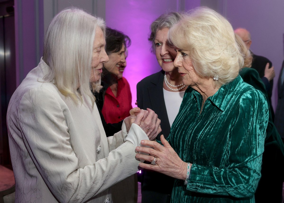 Queen Camilla of the United Kingdom speaks with Dame Vanessa Redgrave and Dame Penelope Keith during a "Celebration of Shakespeare" event at Grosvenor House in London on February 14, 2024 (Chris Jackson/PA Images/Alamy)