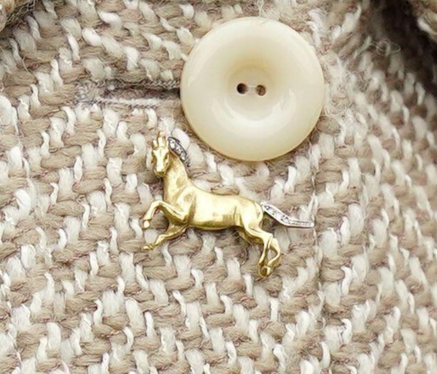 The Princess Royal attends day two of the Cheltenham Festival at Cheltenham Racecourse on March 13, 2024 (Mike Egerton/PA Images/Alamy)