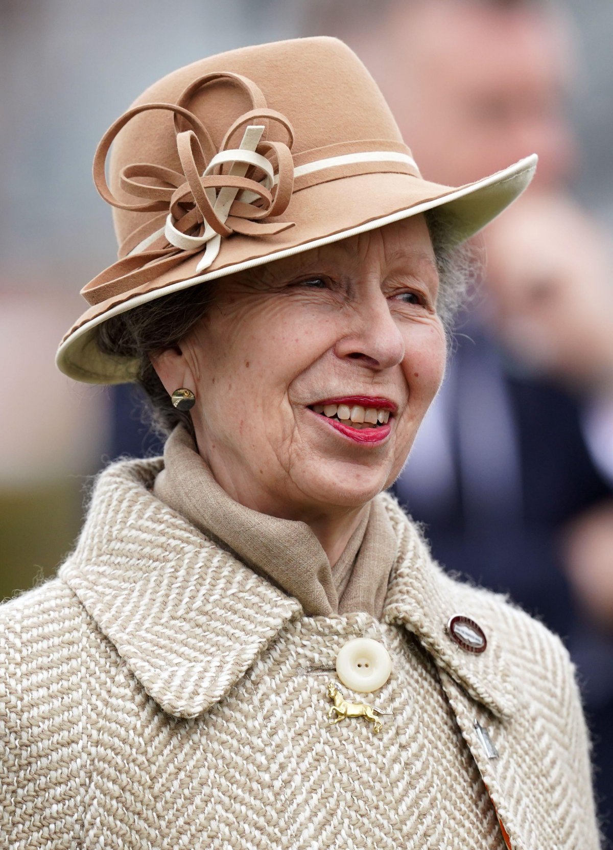 The Princess Royal attends day two of the Cheltenham Festival at Cheltenham Racecourse on March 13, 2024 (Mike Egerton/PA Images/Alamy)