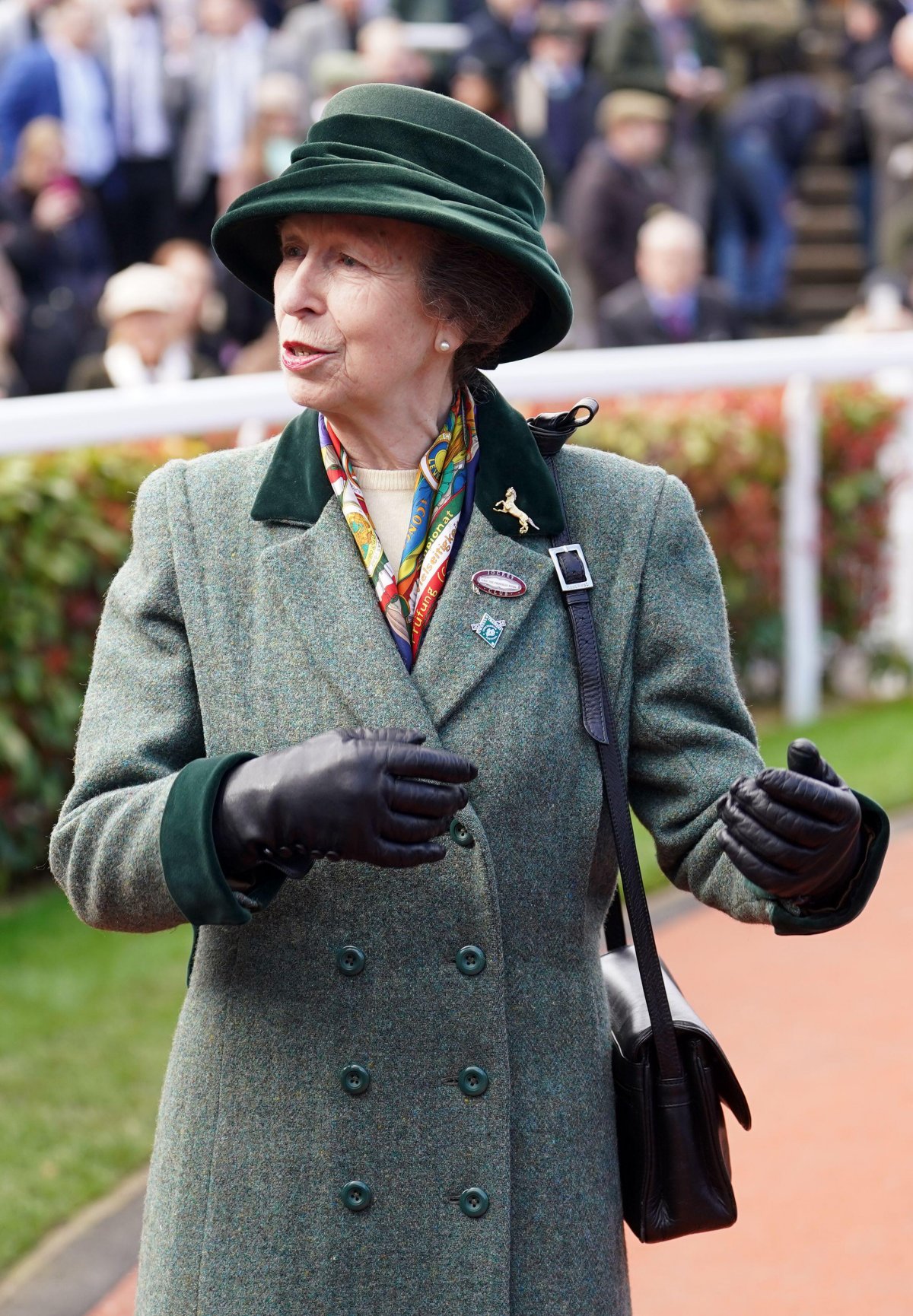 The Princess Royal attends day three of the Cheltenham Festival at Cheltenham Racecourse on March 14, 2024 (Mike Egerton/PA Images/Alamy)
