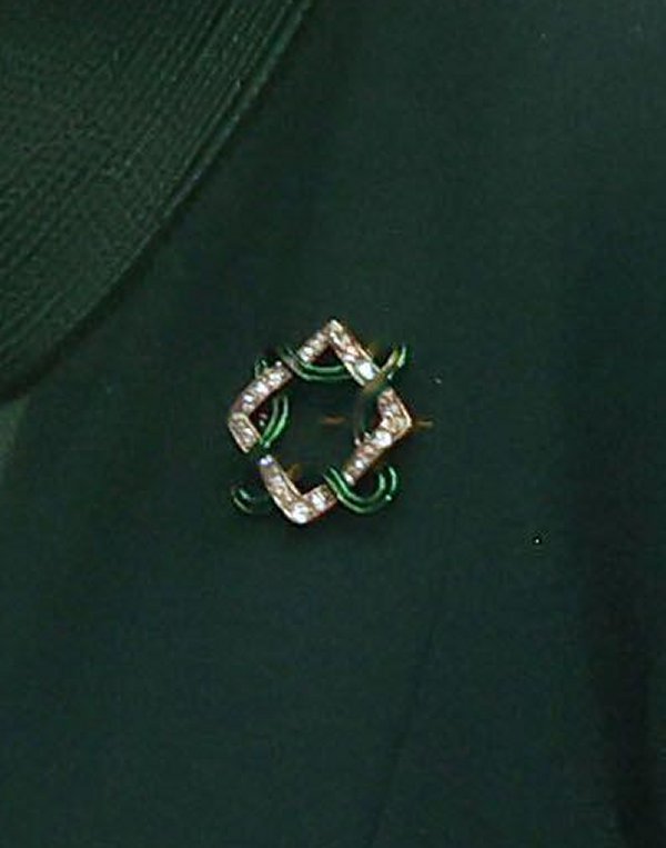 Queen Camilla of the United Kingdom attends a reception hosted by the Queen's Reading Room to mark World Poetry Day at Hillsborough Castle in Belfast on March 21, 2024 (Liam McBurney/PA Images/Alamy)